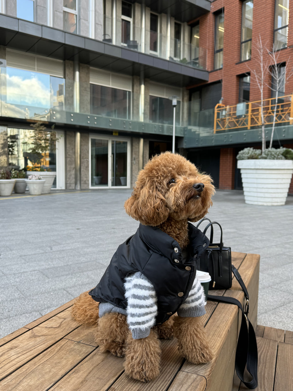 Gray sweater with Off White print
