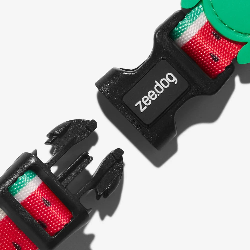 Шлея для собак Zee.Dog - Lola H-Harness