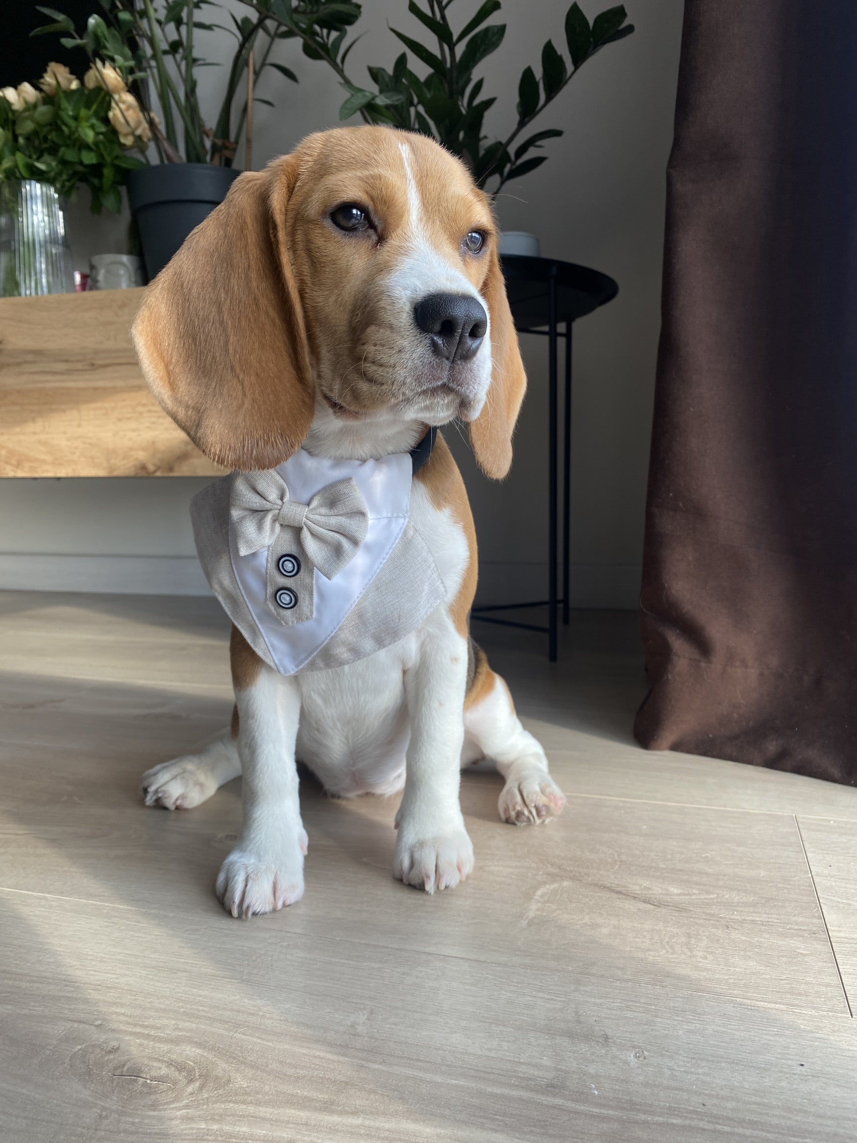 Нагрудник з метеликом бежевого кольору Gentle Beige