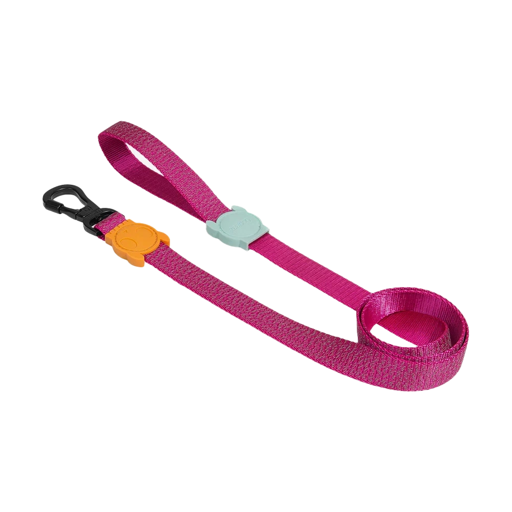 Повідець для собак світловідбиваючий Zee.Dog - Nox Sidus