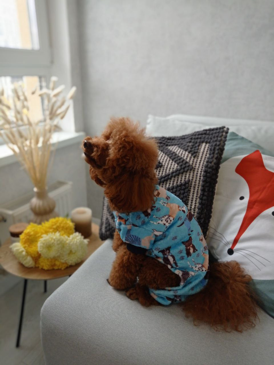 Woof &amp; Co blue pajama jumpsuit