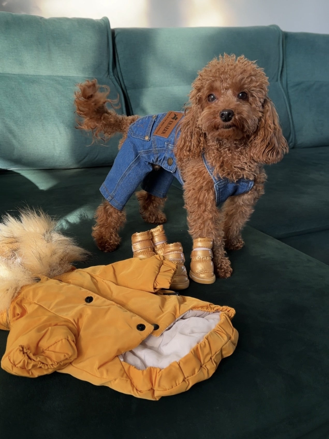 Куртка-парка гірчичного кольору Cheepet