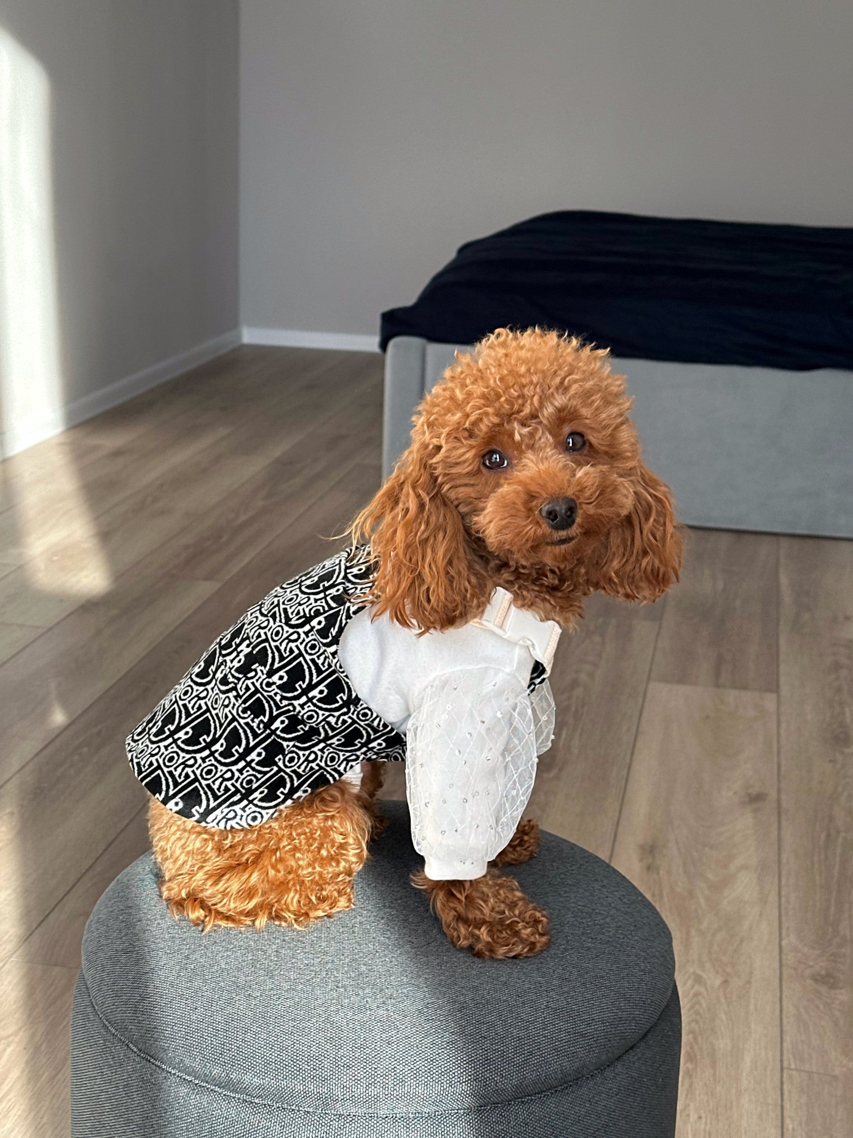 White T-shirt with sequins