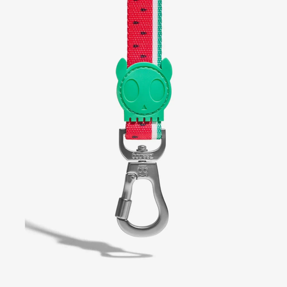 Повідець для собак Zee.Dog - Lola Leash