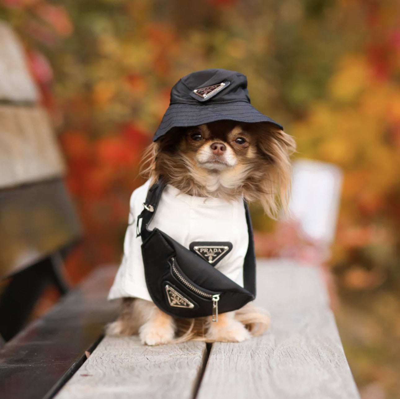 Панамка чорного кольору Prada