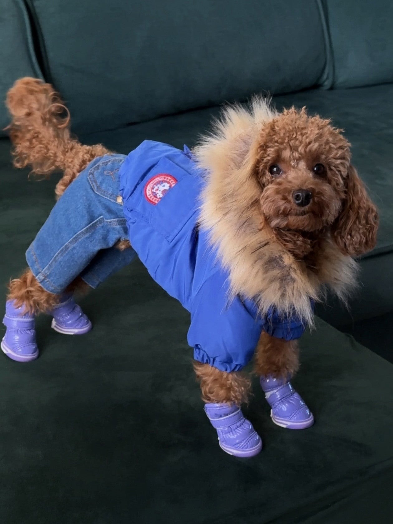 Куртка-парка синього кольору Cheepet