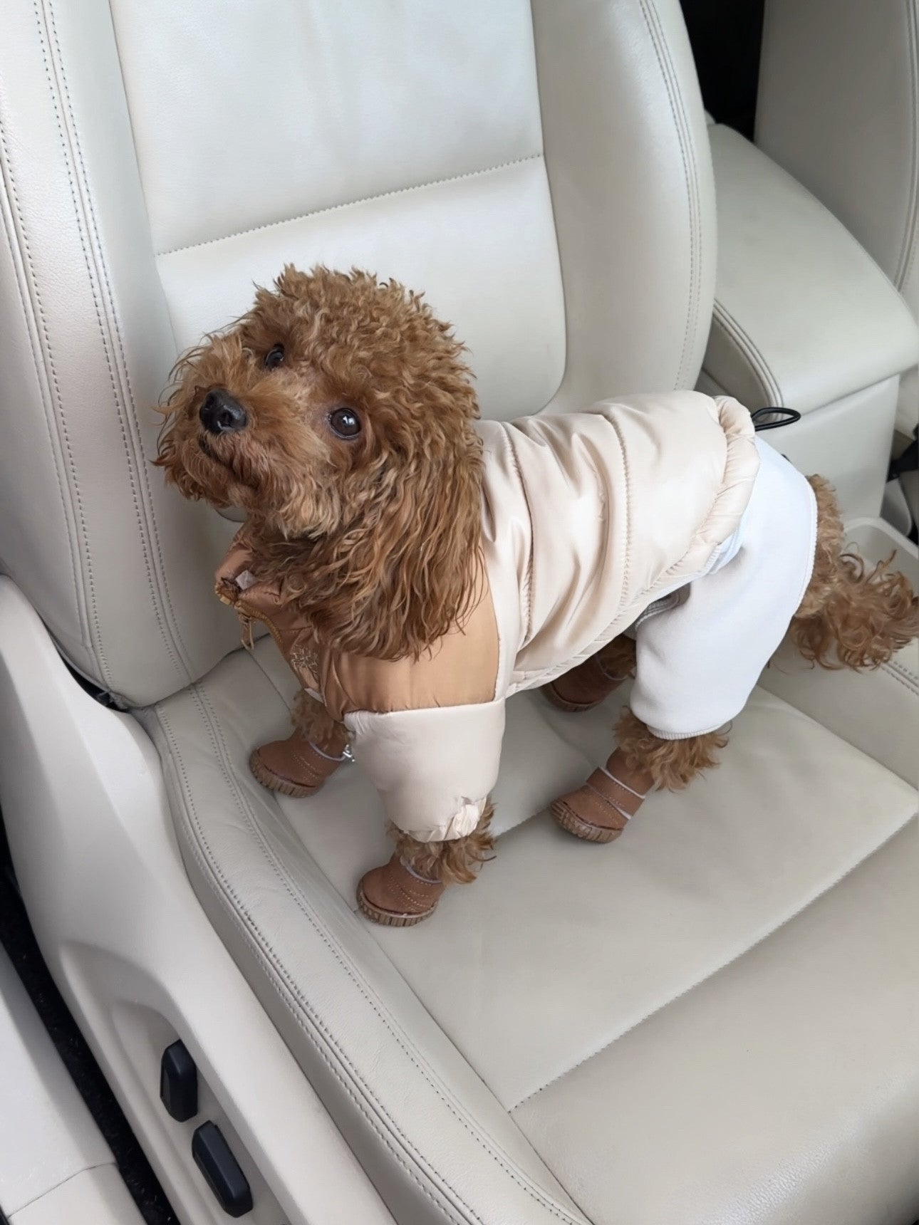 Куртка бежевого кольору The Dog Face