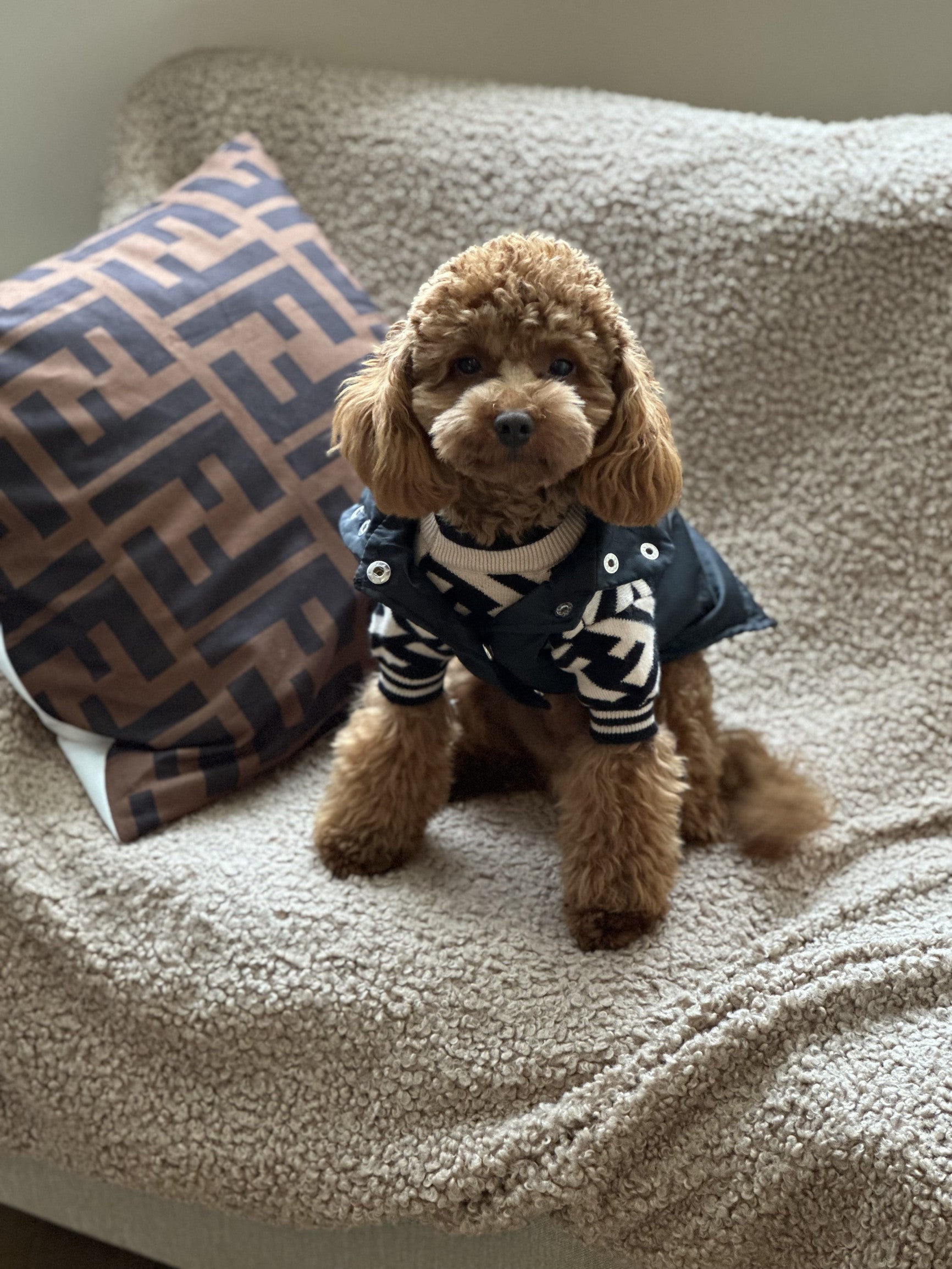 Светр чорного кольору з принтом Fendi