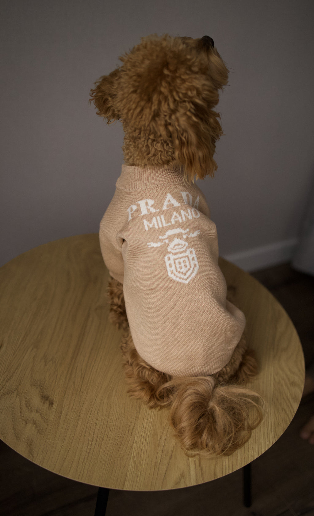 Светр бежевого кольору з принтом Prada