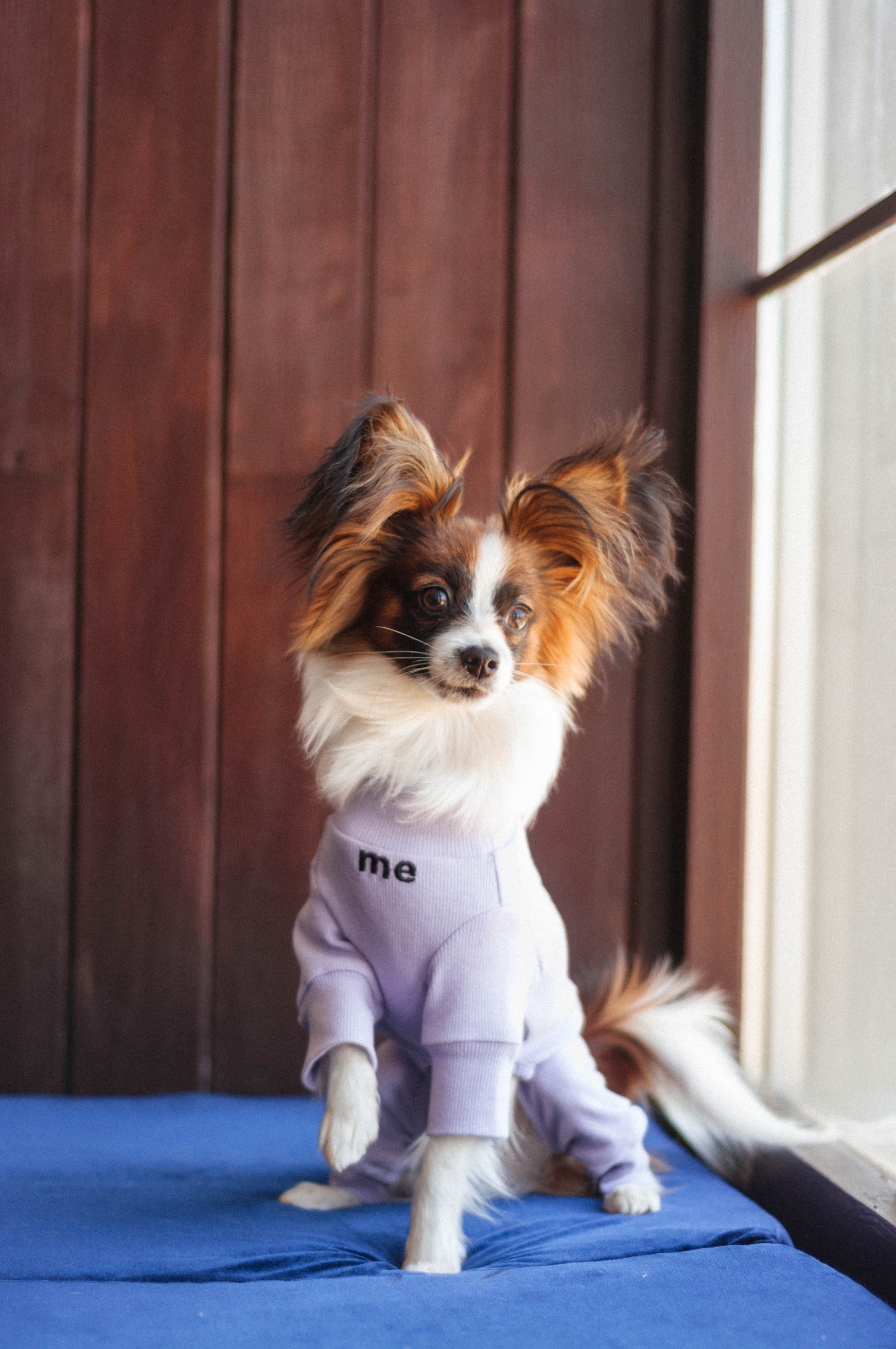 Комбінезон лавандового кольору з принтом Кiss me