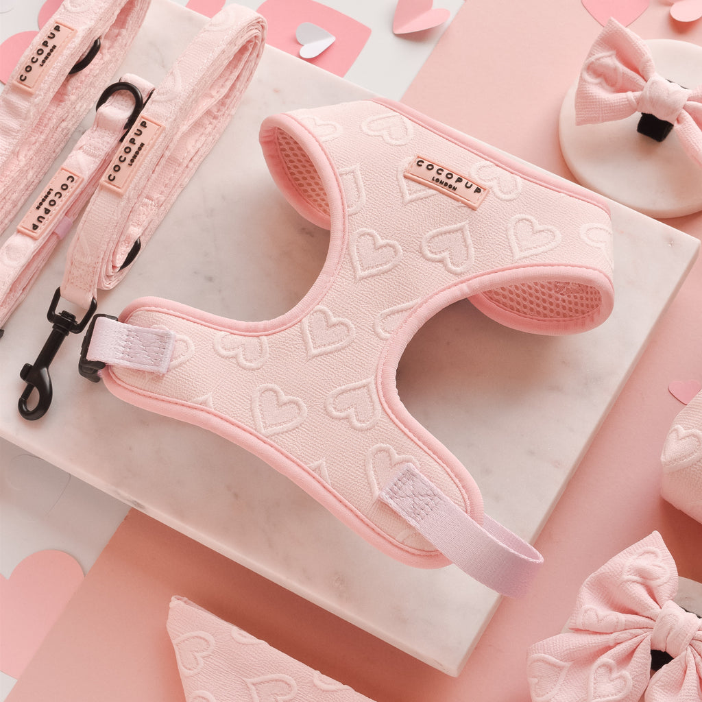 Шлея для собак Cocopup - Baby Pink Heart