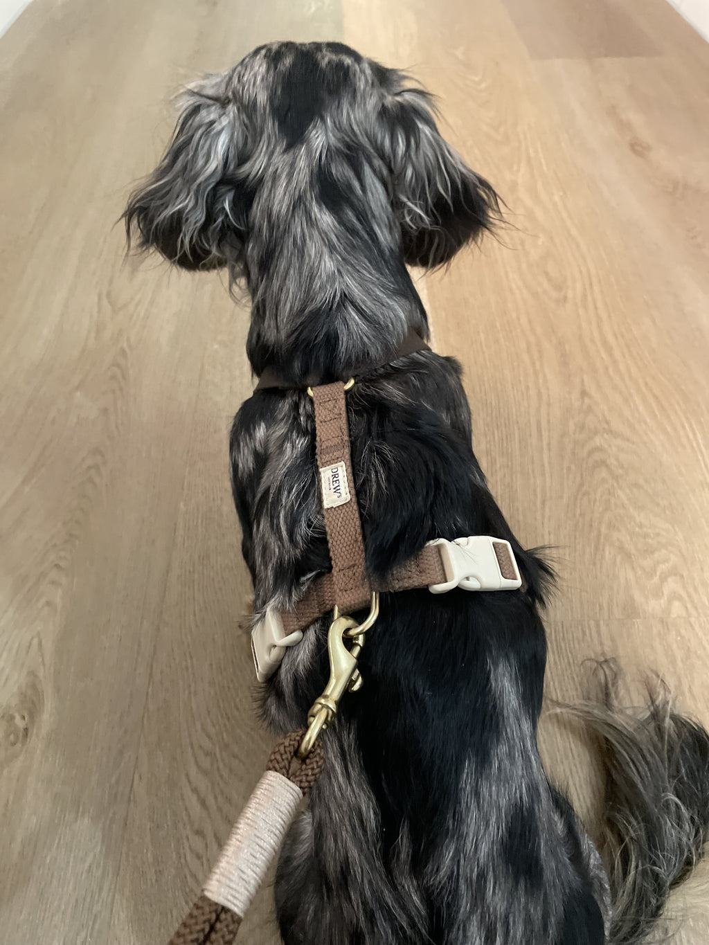 Шлея для собак Drew's Dogwear - Chocolate