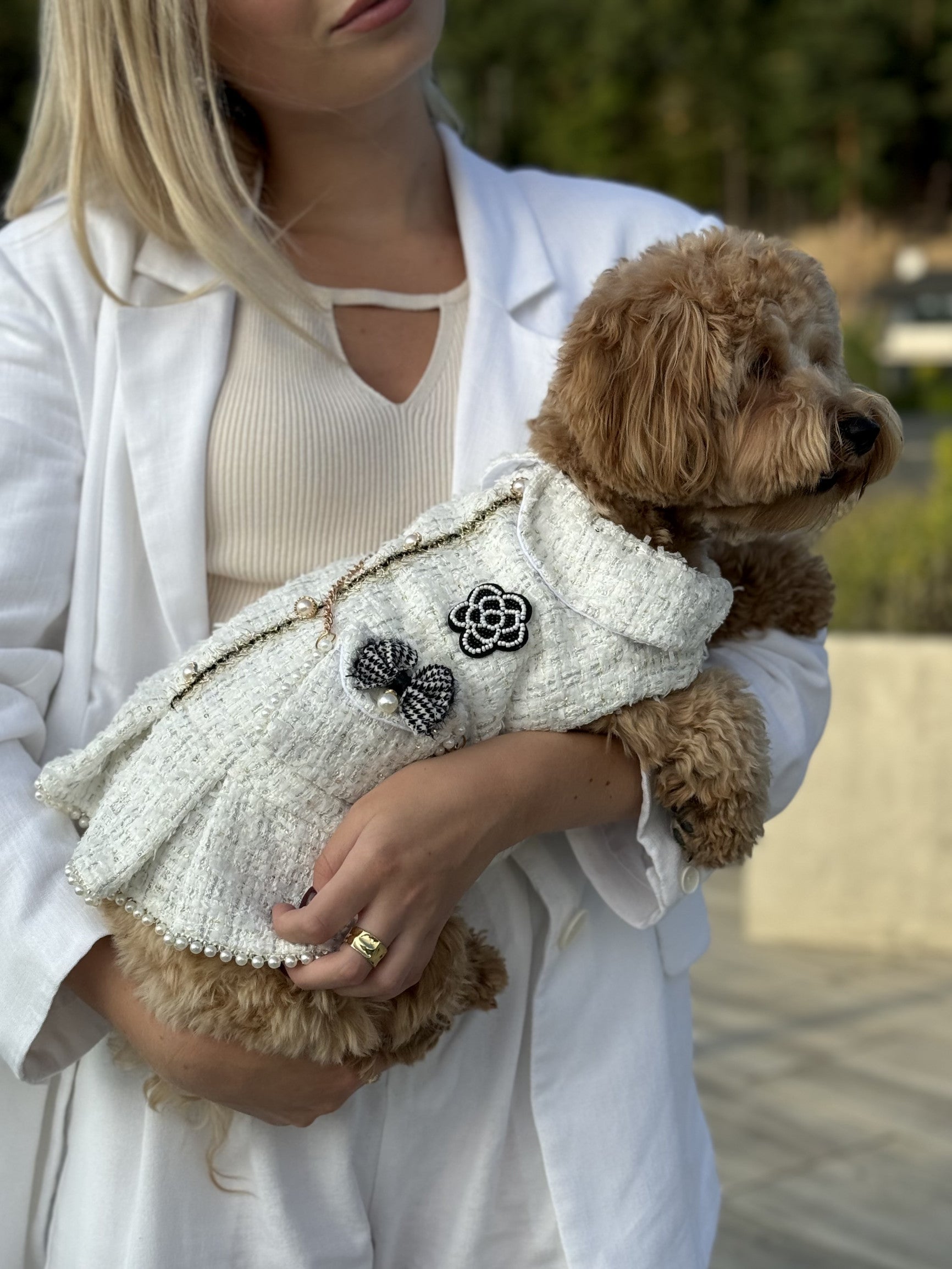 Сукня білого кольору White Tweed