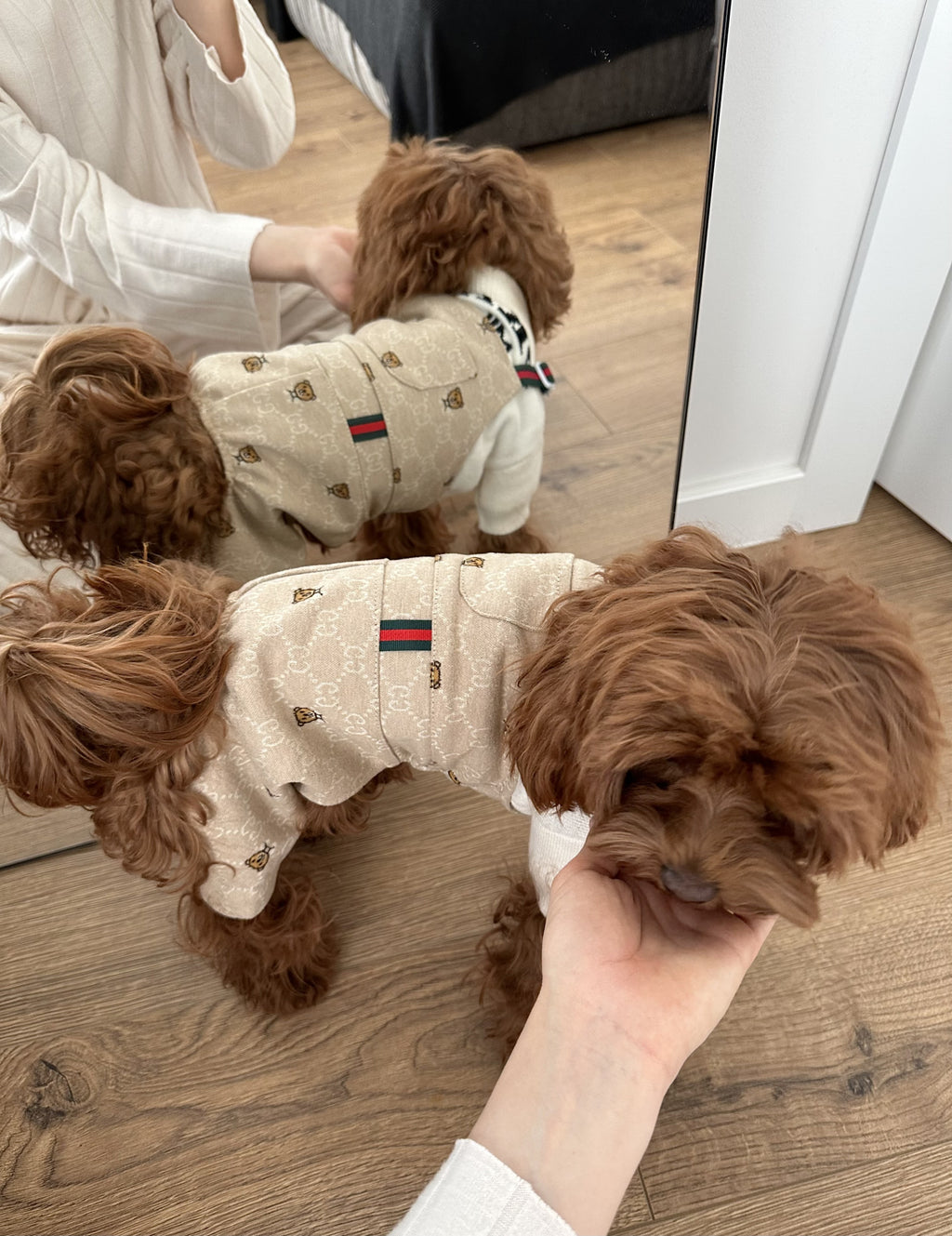 Штани бежевого кольору Gucci Bear