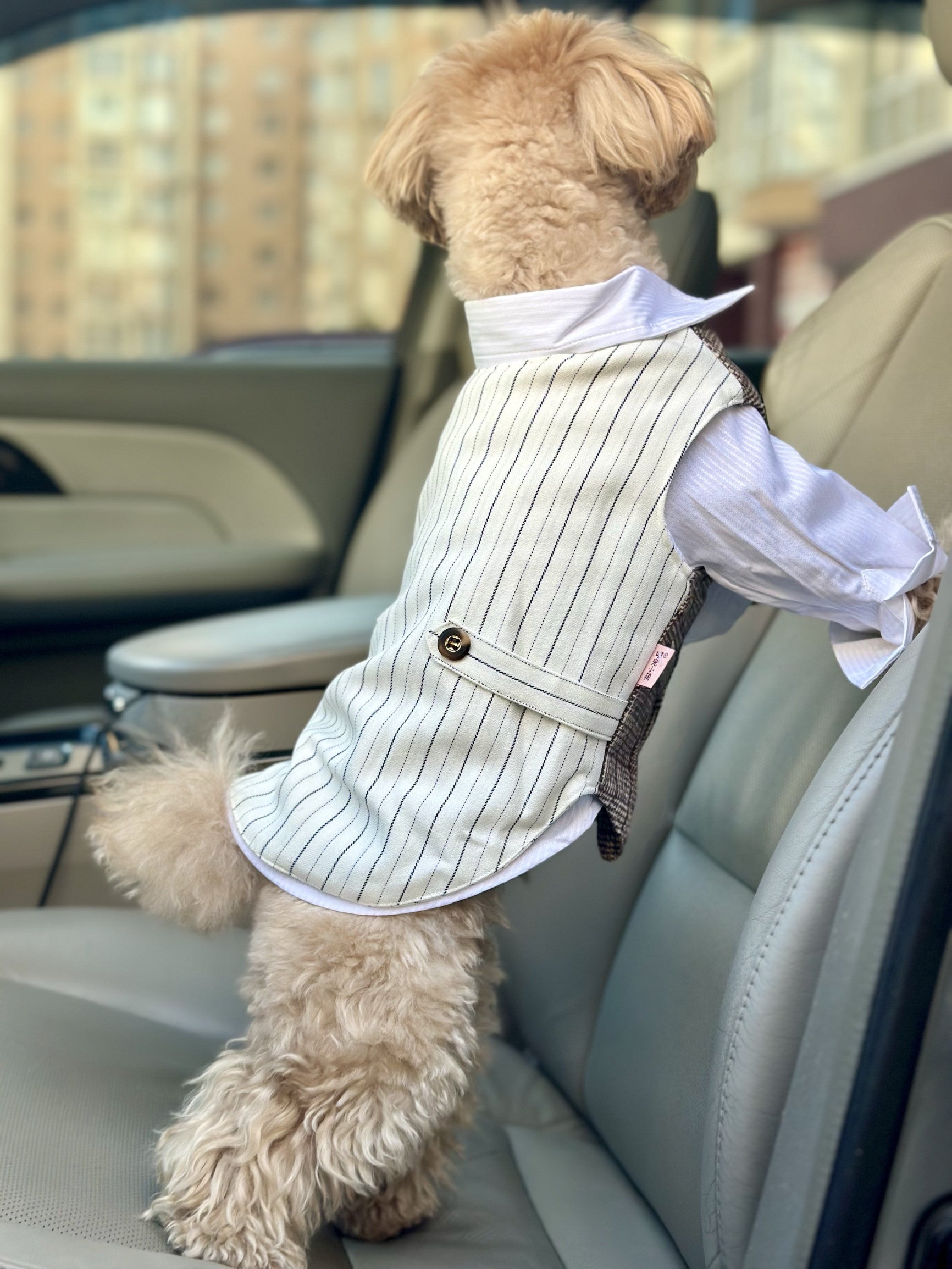 Смокінг біло-бежевого кольору Gentle Cream