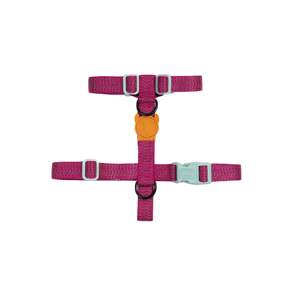 Шлея для собак світловідбиваюча Zee.Dog - Nox Sidus