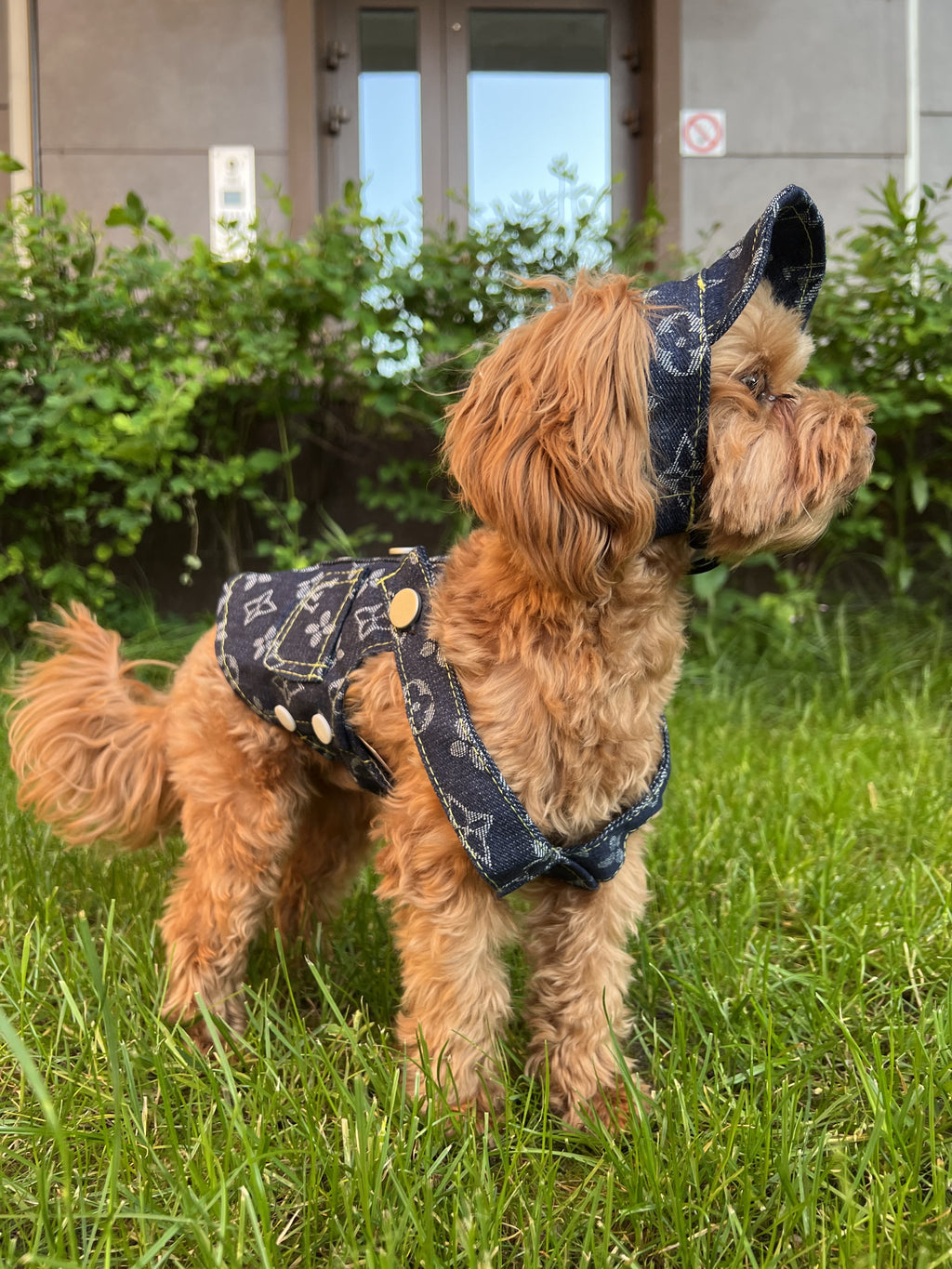 Straight denim sundress with LV print