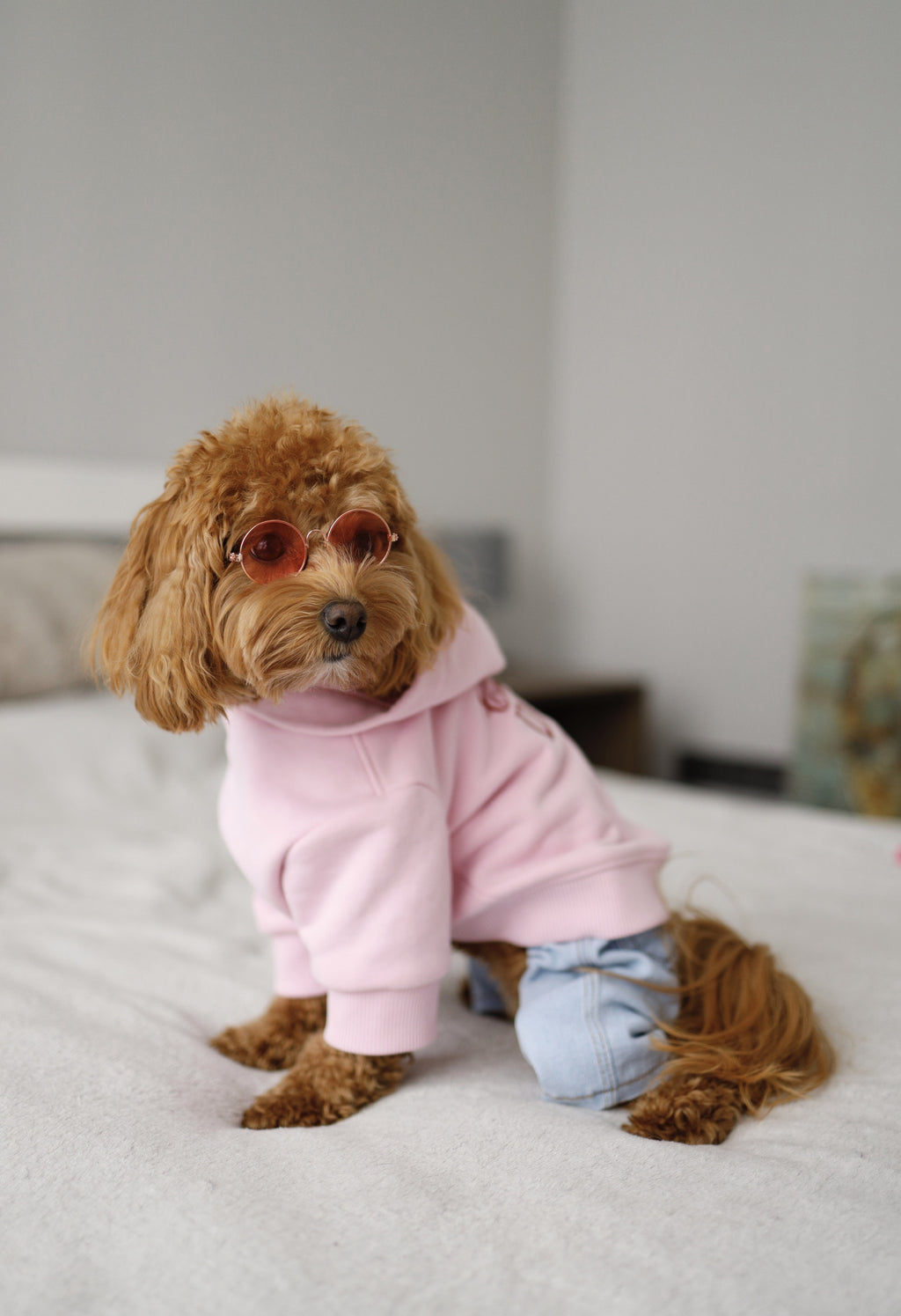 Crazy dog ​​lady pink hoodie
