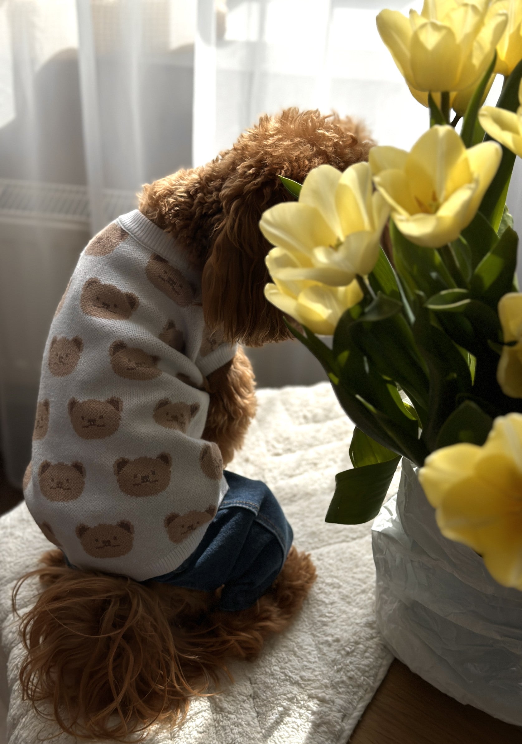 Светр-безрукавка білого кольору з принтом Bear