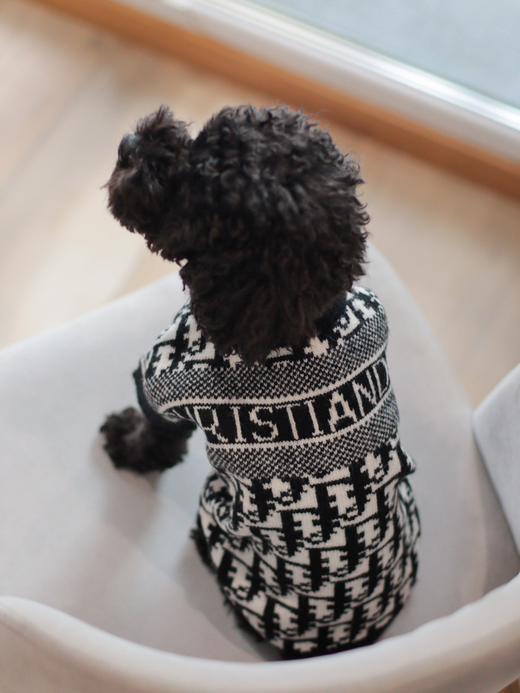 Светр чорного кольору з принтом Dior