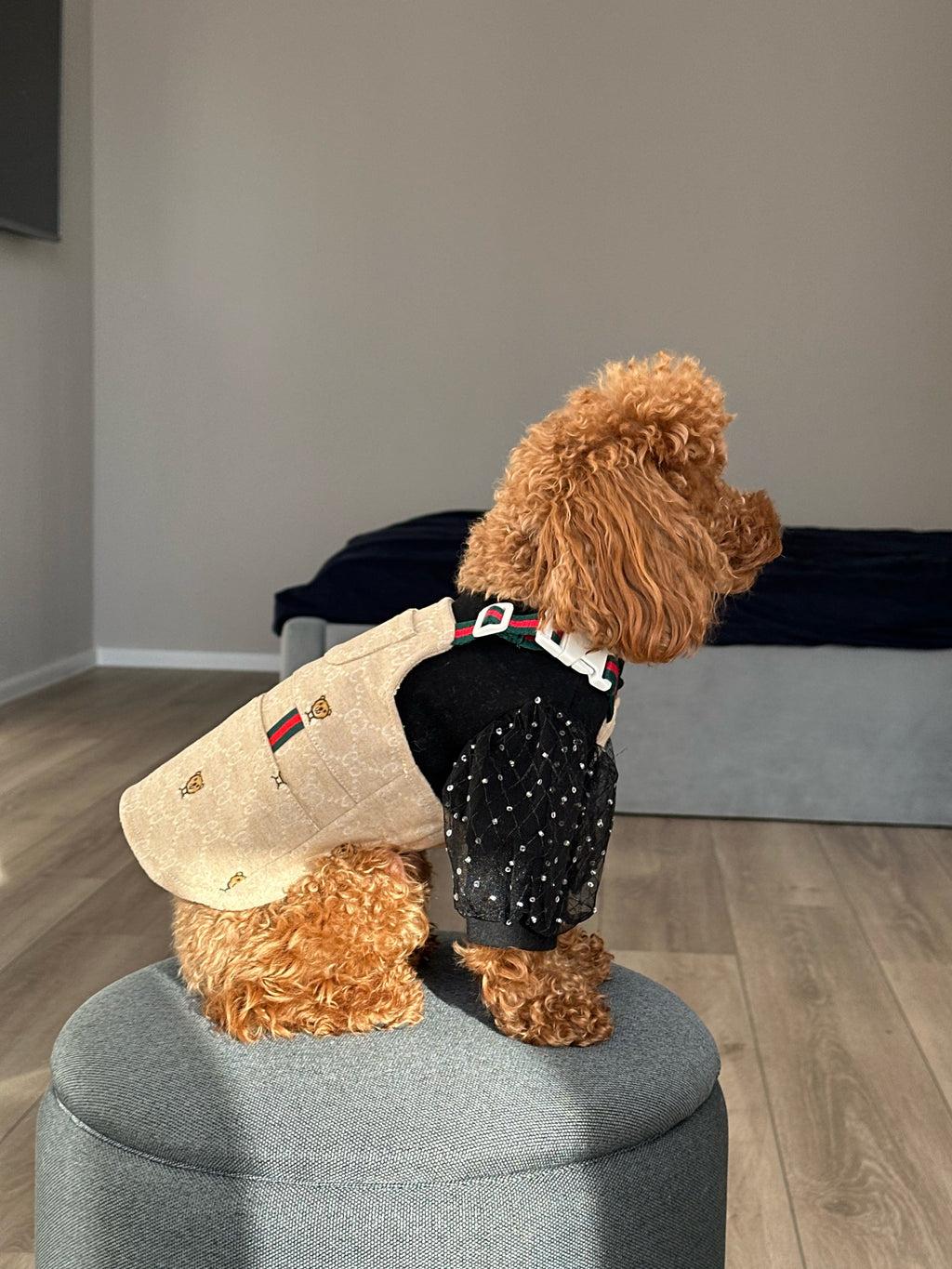 Beige sundress with GG Bear print