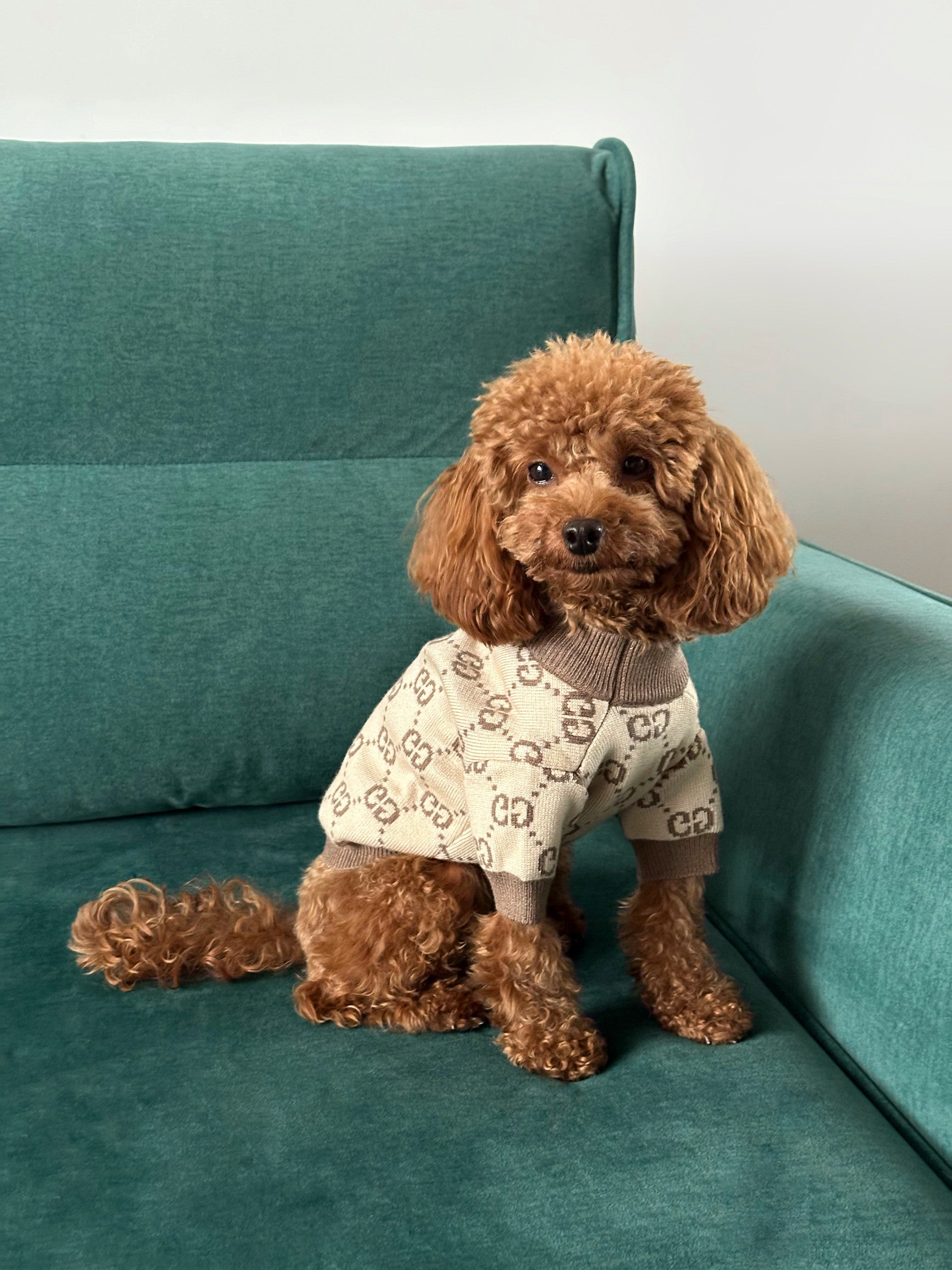 Светр бежево-коричневого кольору з принтом Gucci