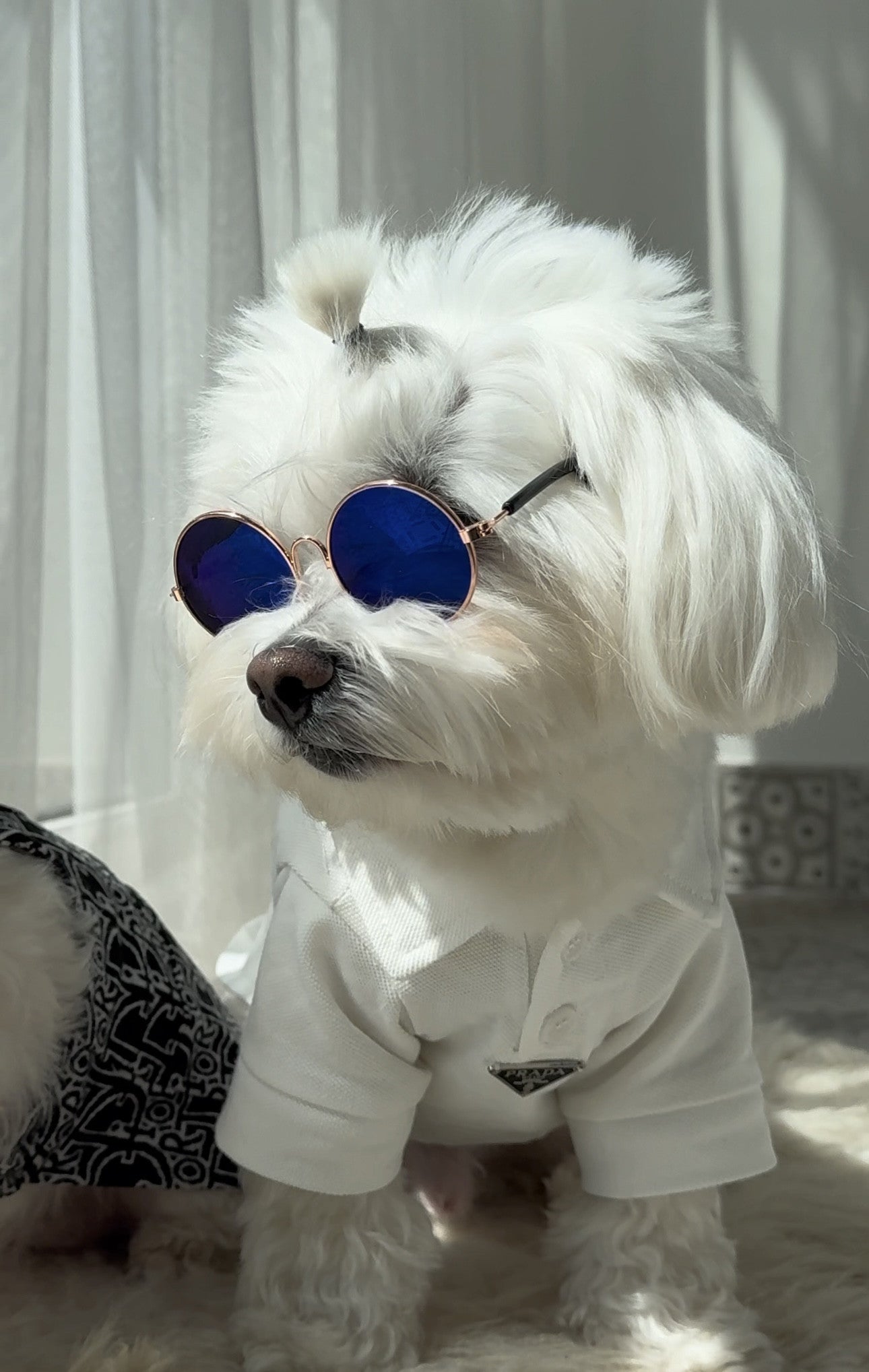 Окуляри з круглими синіми лінзами Blue Mirror