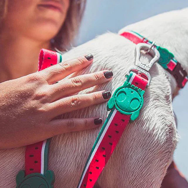 Повідець для собак Zee.Dog - Lola Leash