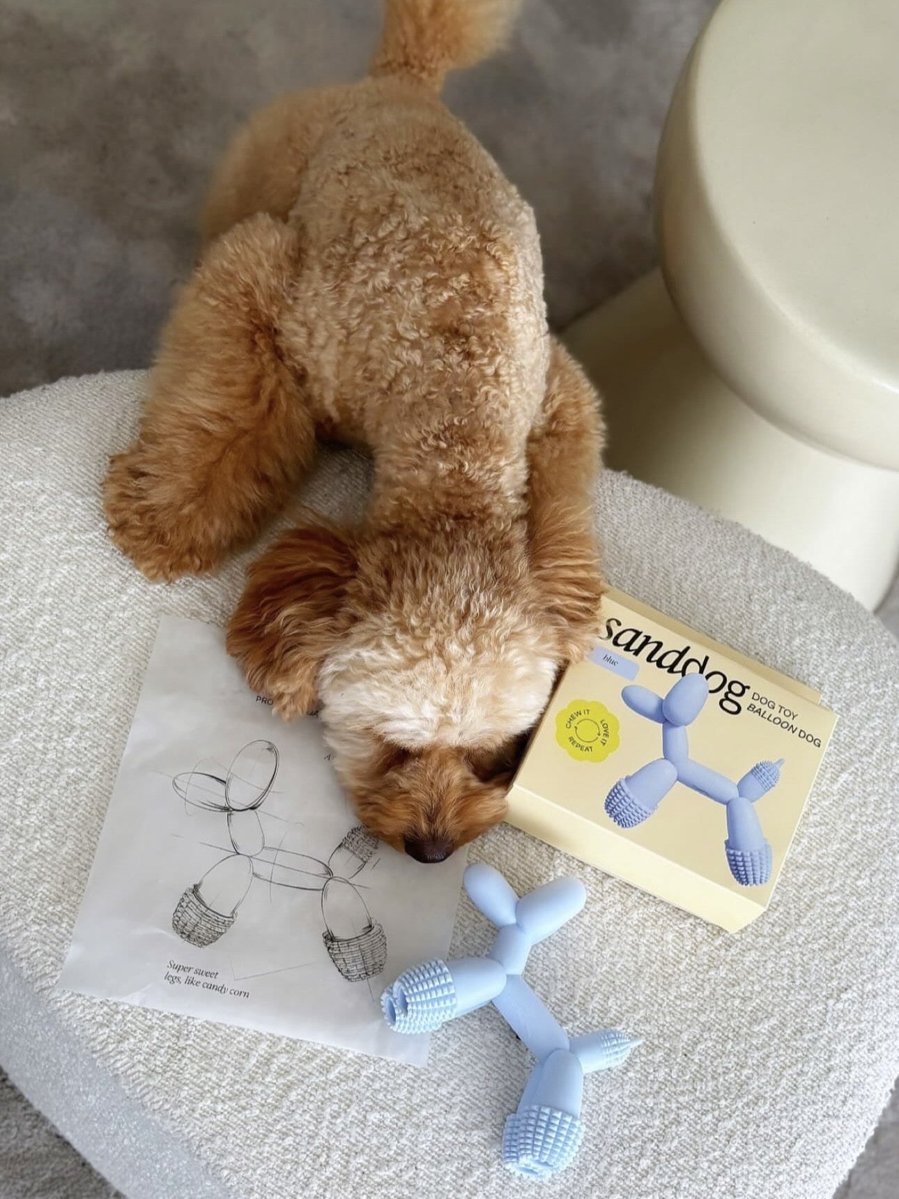 Іграшка Sanddog Ballon dog