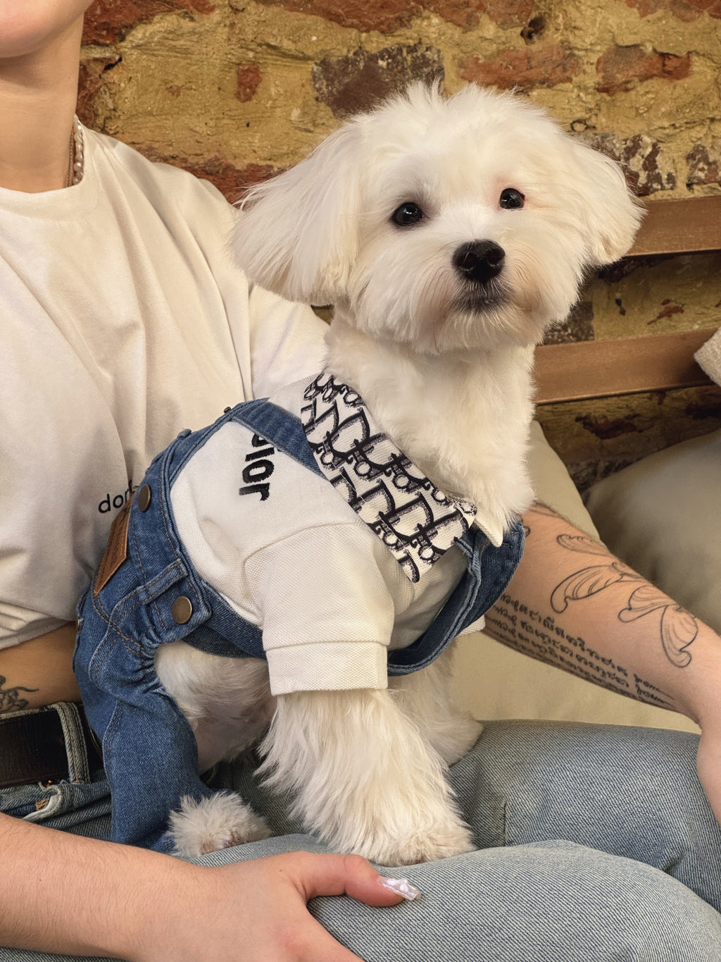White polo shirt with Dior print