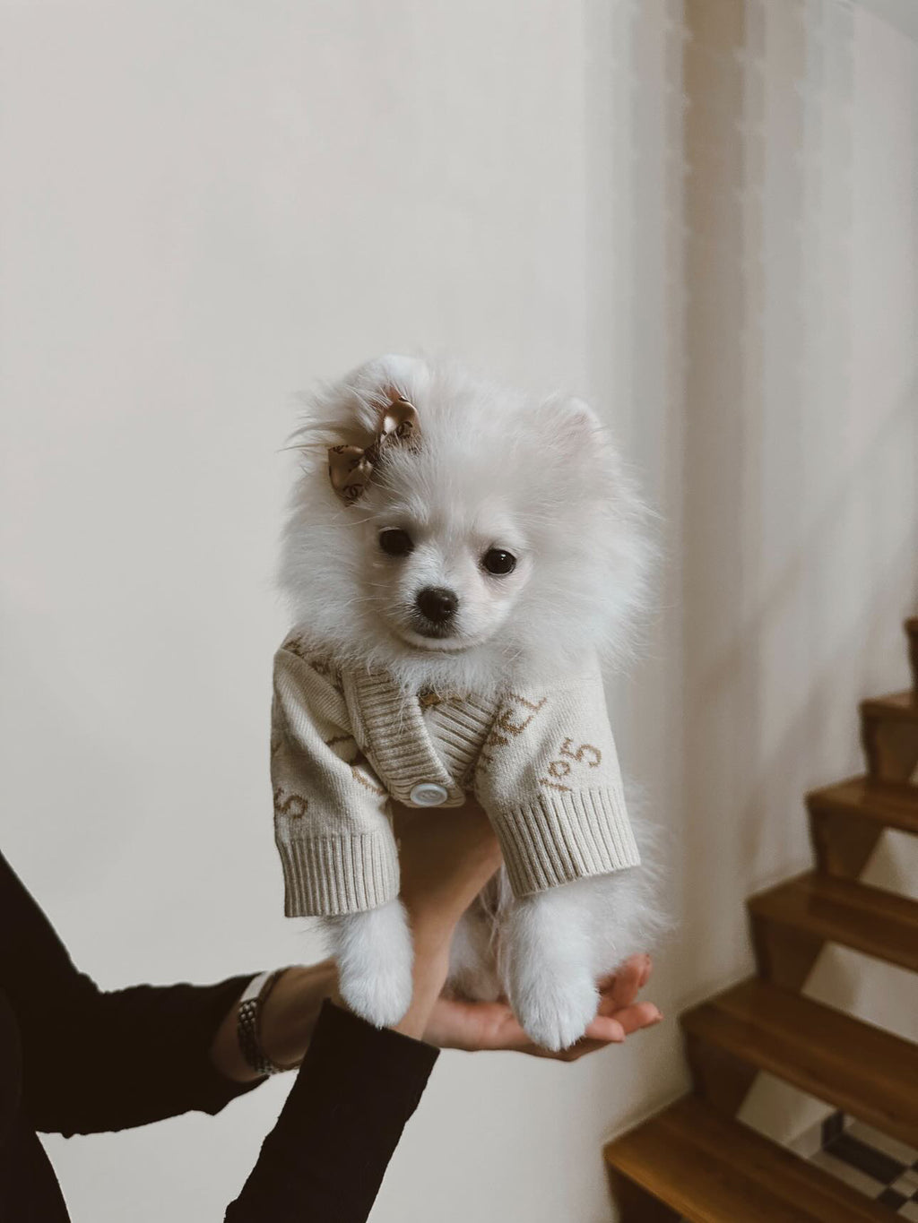 Кардиган бежевого кольору з принтом Chanel