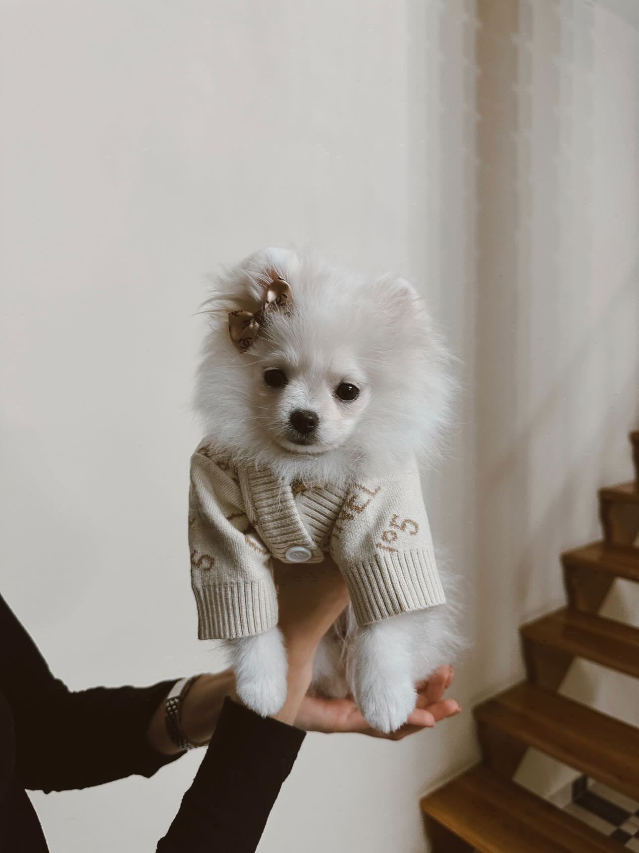 Кардиган бежевого кольору з принтом Chanel