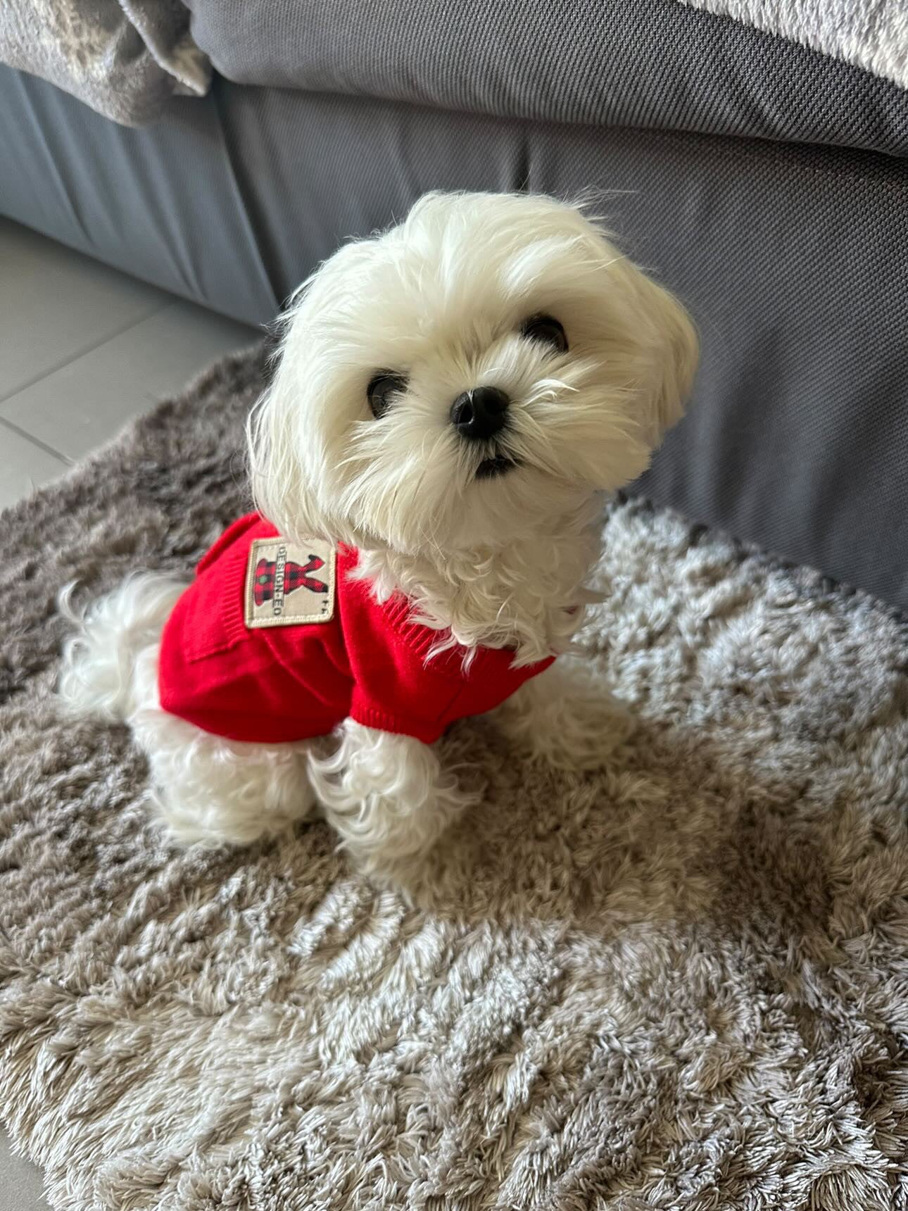 Светр-безрукавка червоного кольору Designed