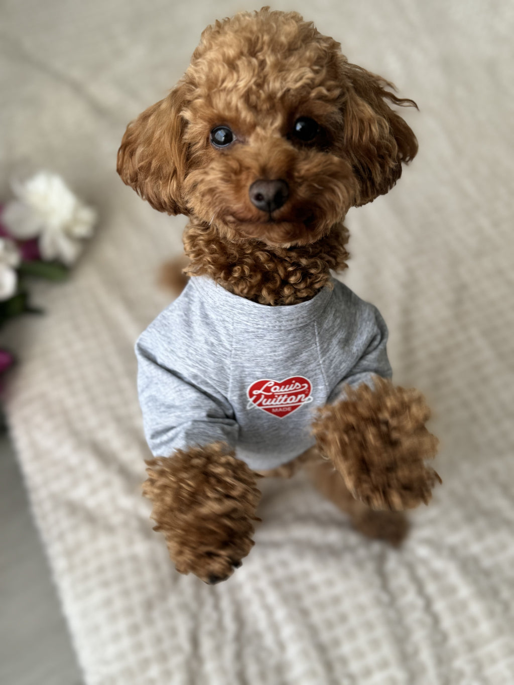 Gray T-shirt with LV print