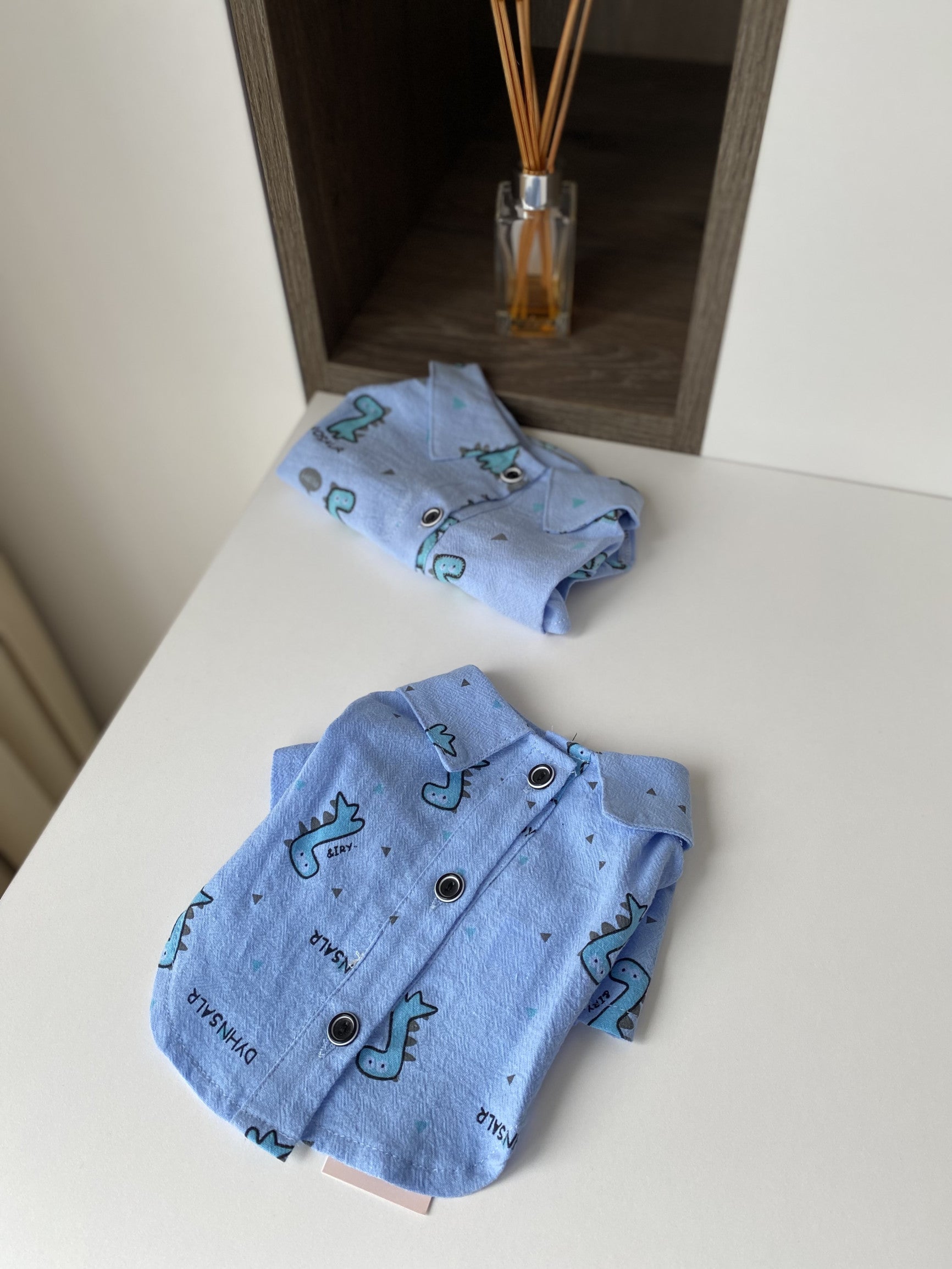 Сорочка блакитного кольору з принтом Діно