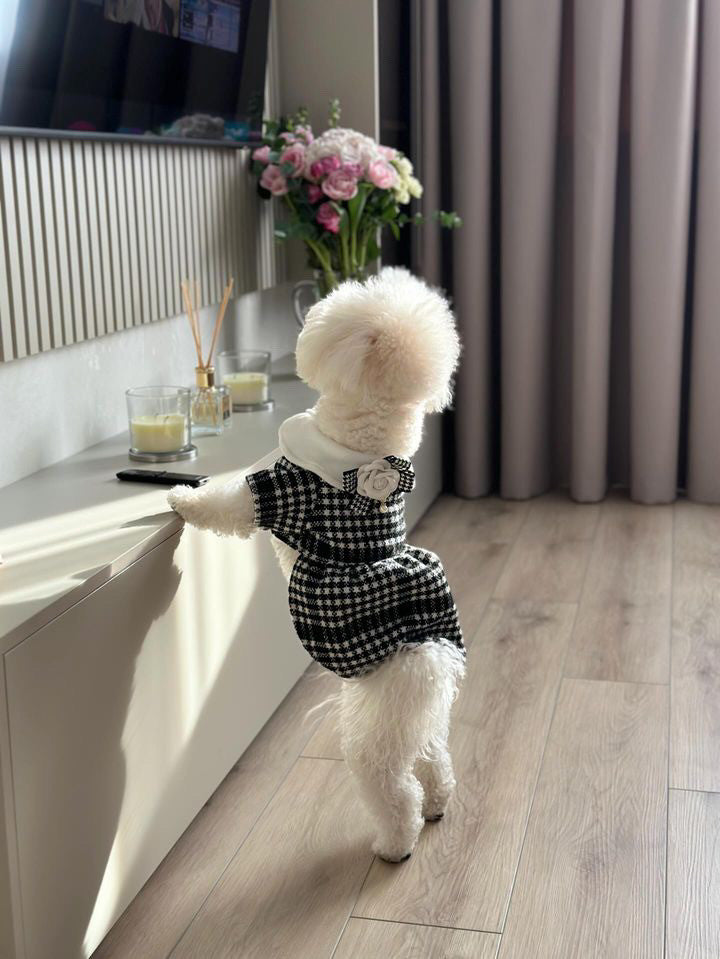 Black and white dress Coco Elegance