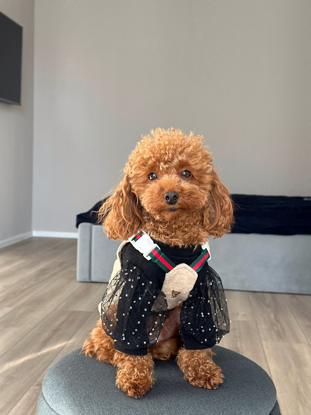 Beige sundress with GG Bear print