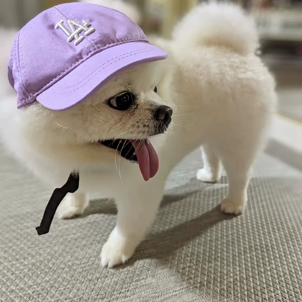 Кепка лілового кольору LA