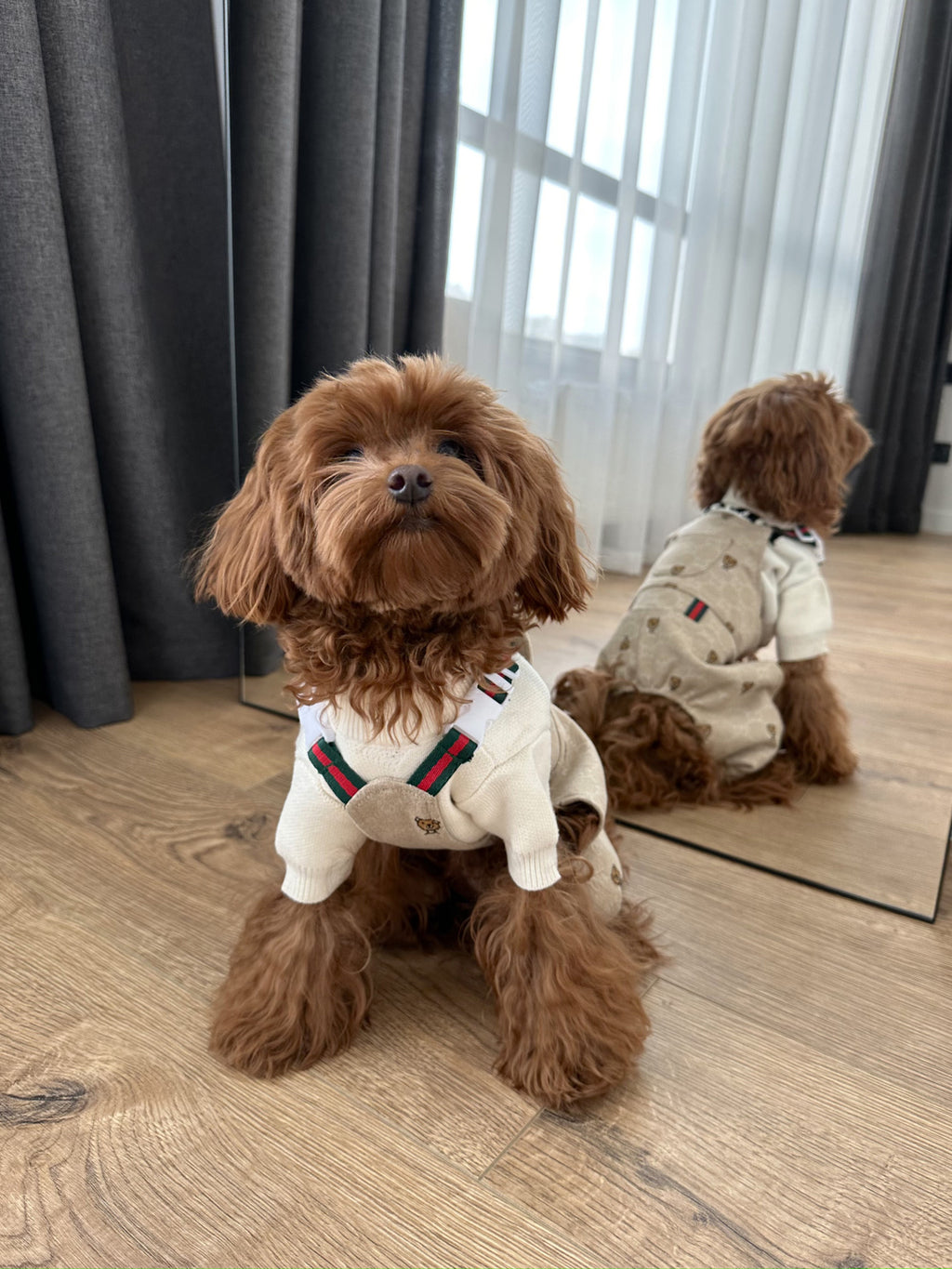 Штани бежевого кольору Gucci Bear