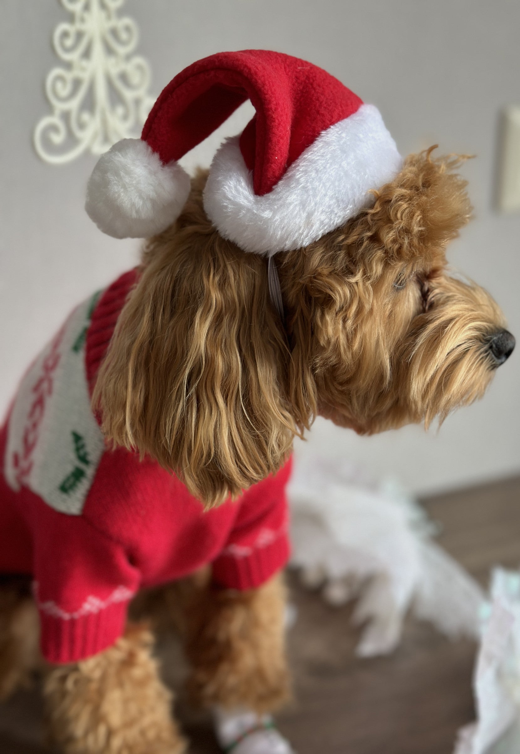 Ковпак новорічний червоного кольору Santa Pup