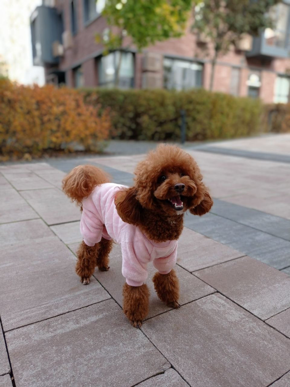 Berry Mood pink pajama jumpsuit