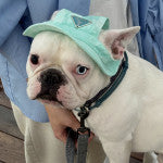 Панамка бірюзового кольору Prada