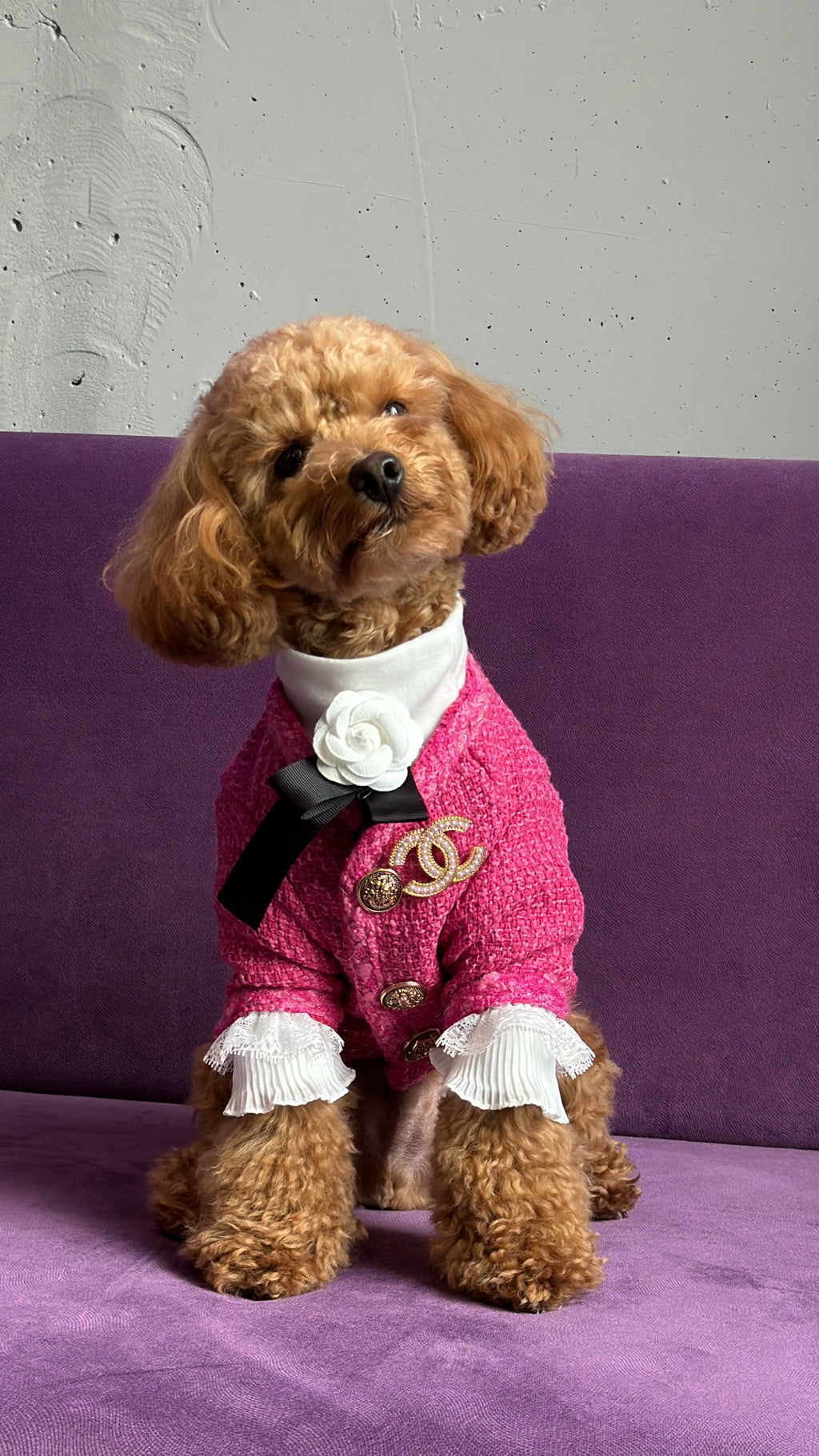 Кардиган рожевого кольору Chanel з гольфом білого кольору