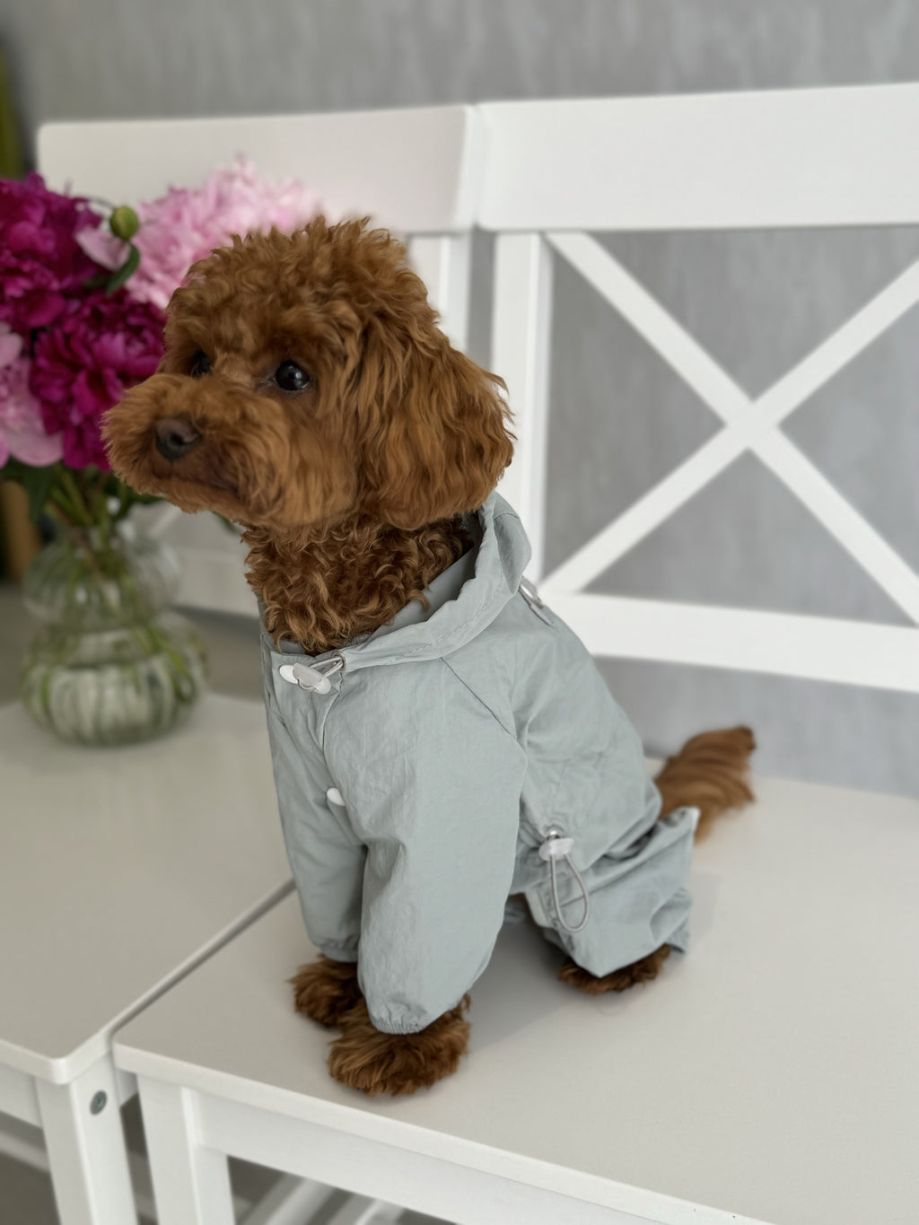 Дощовик мятного кольору Cheepet