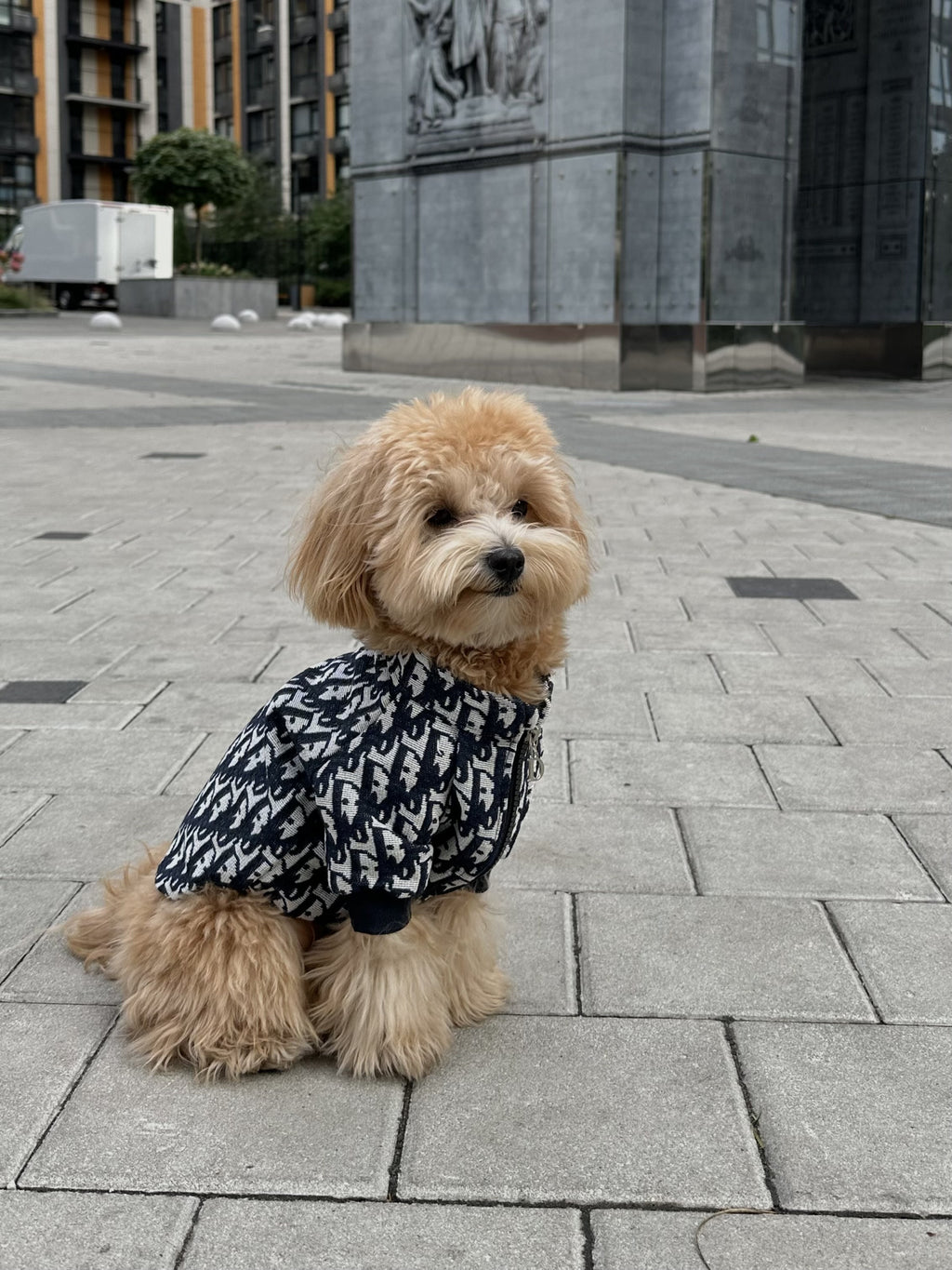 Бомбер біло-синього кольору з принтом Dior