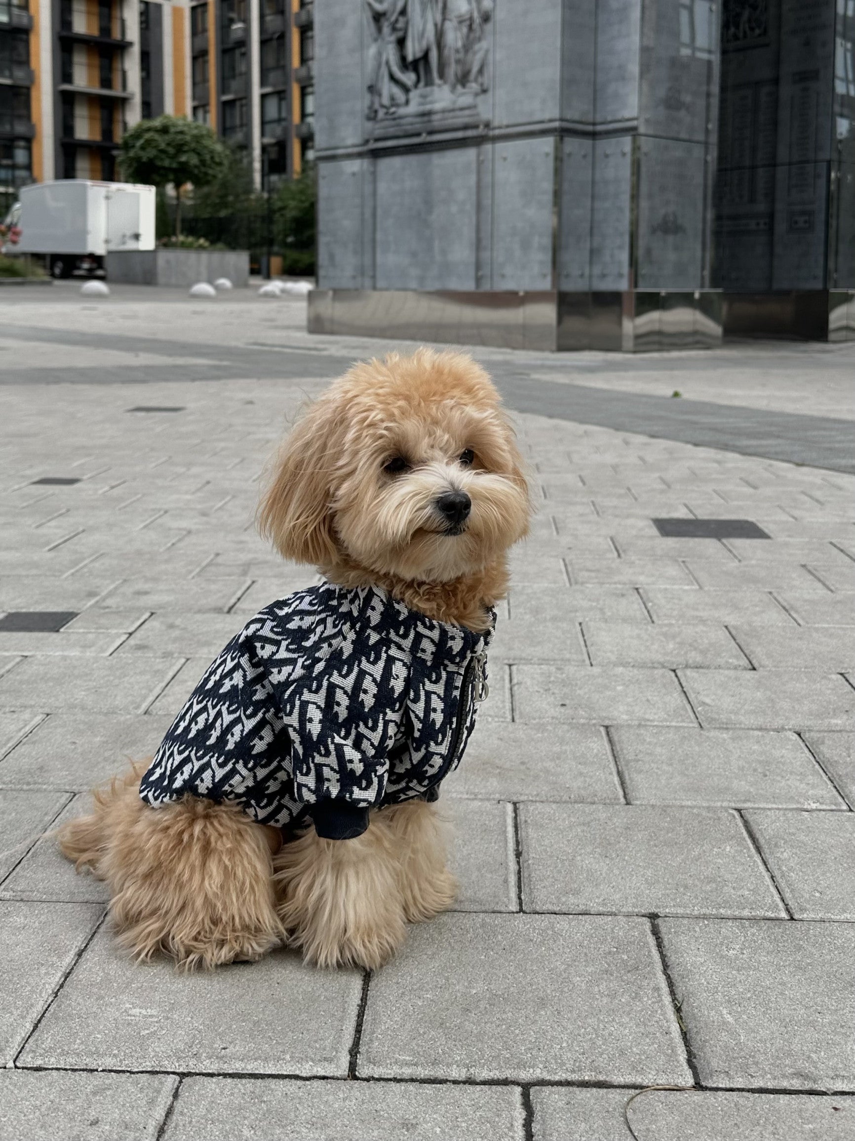 Бомбер біло-синього кольору з принтом Dior