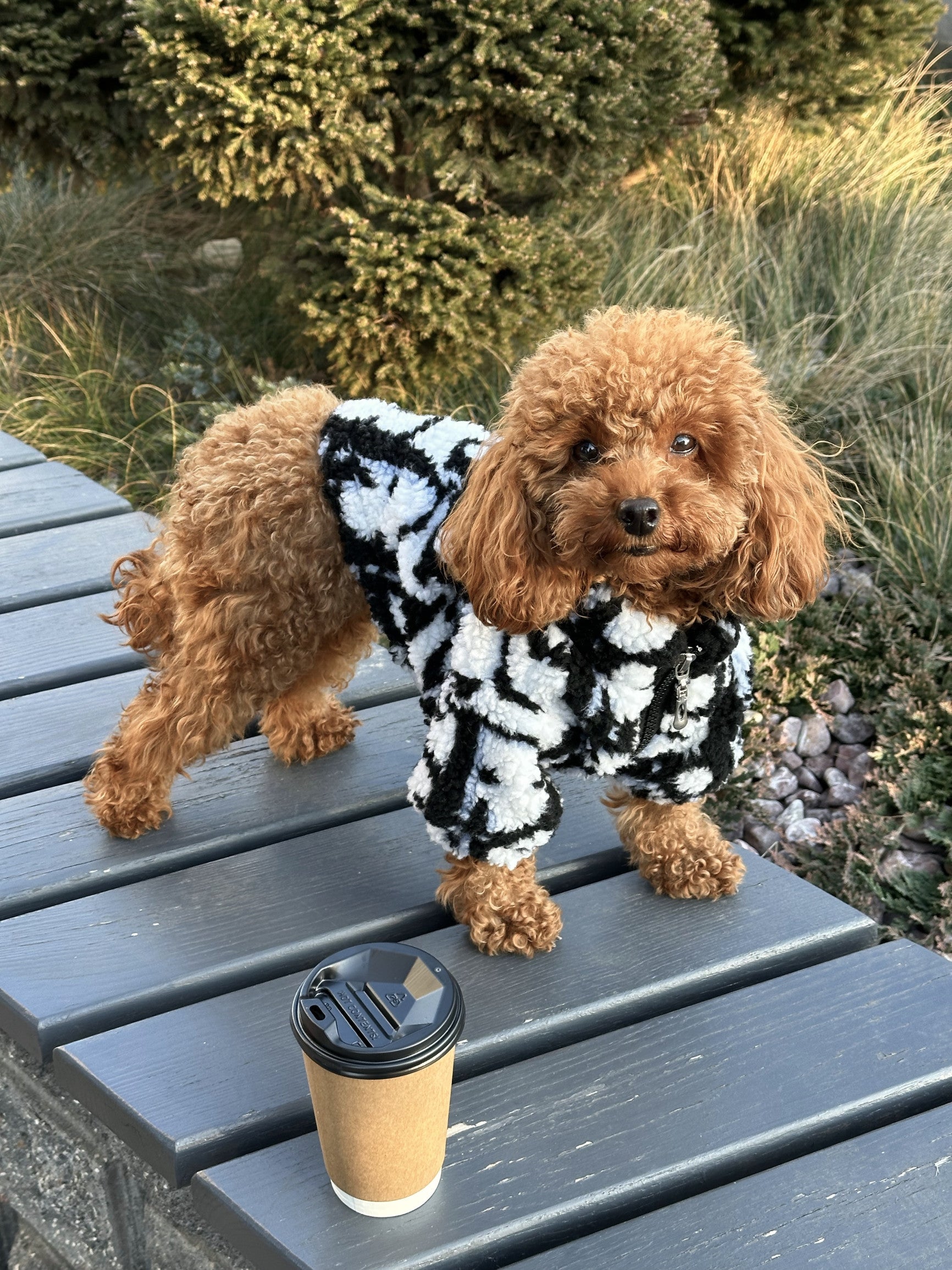 Шуба білого кольору з принтом Dior