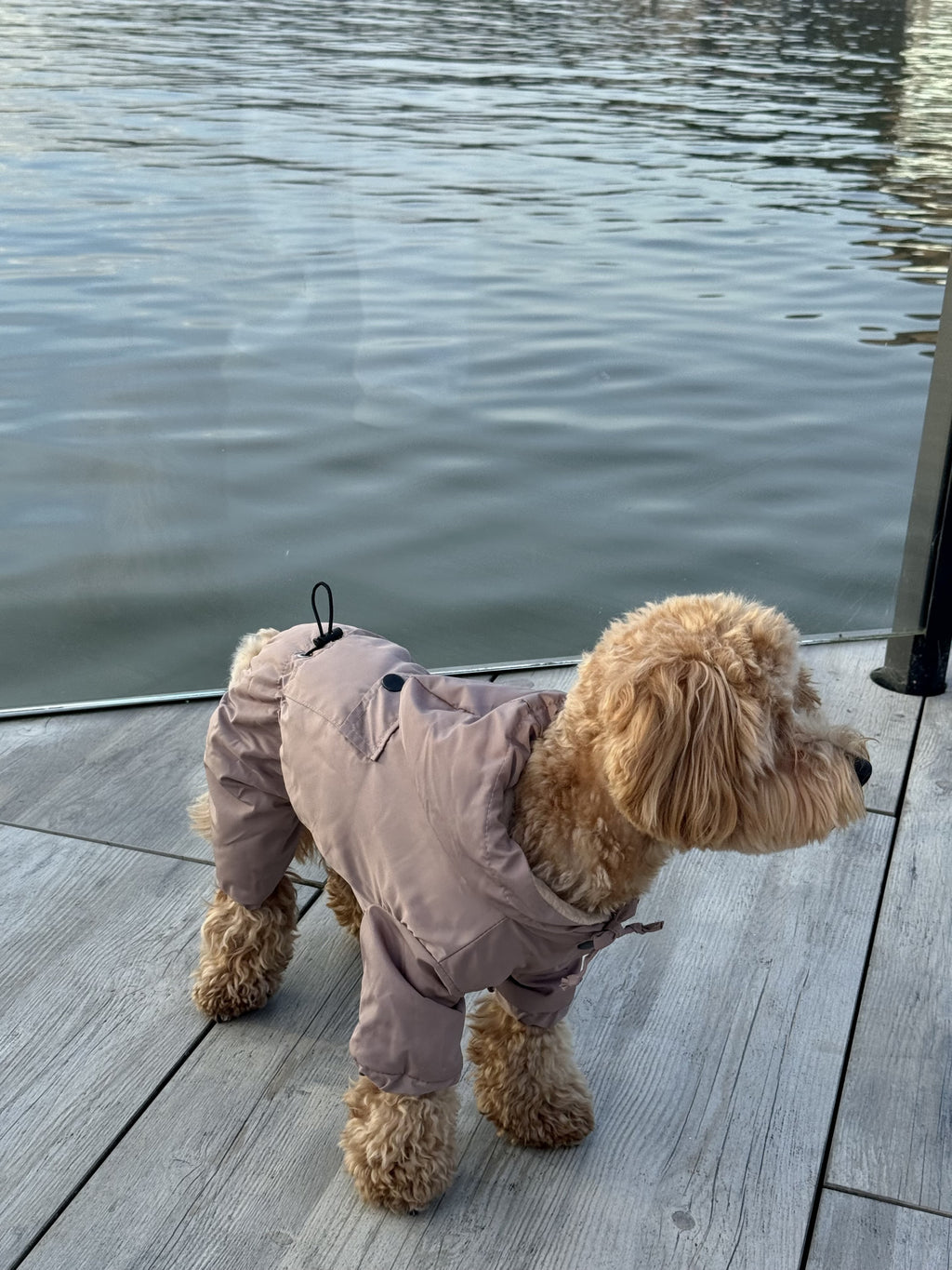 Cocoa Comfort mocha raincoat