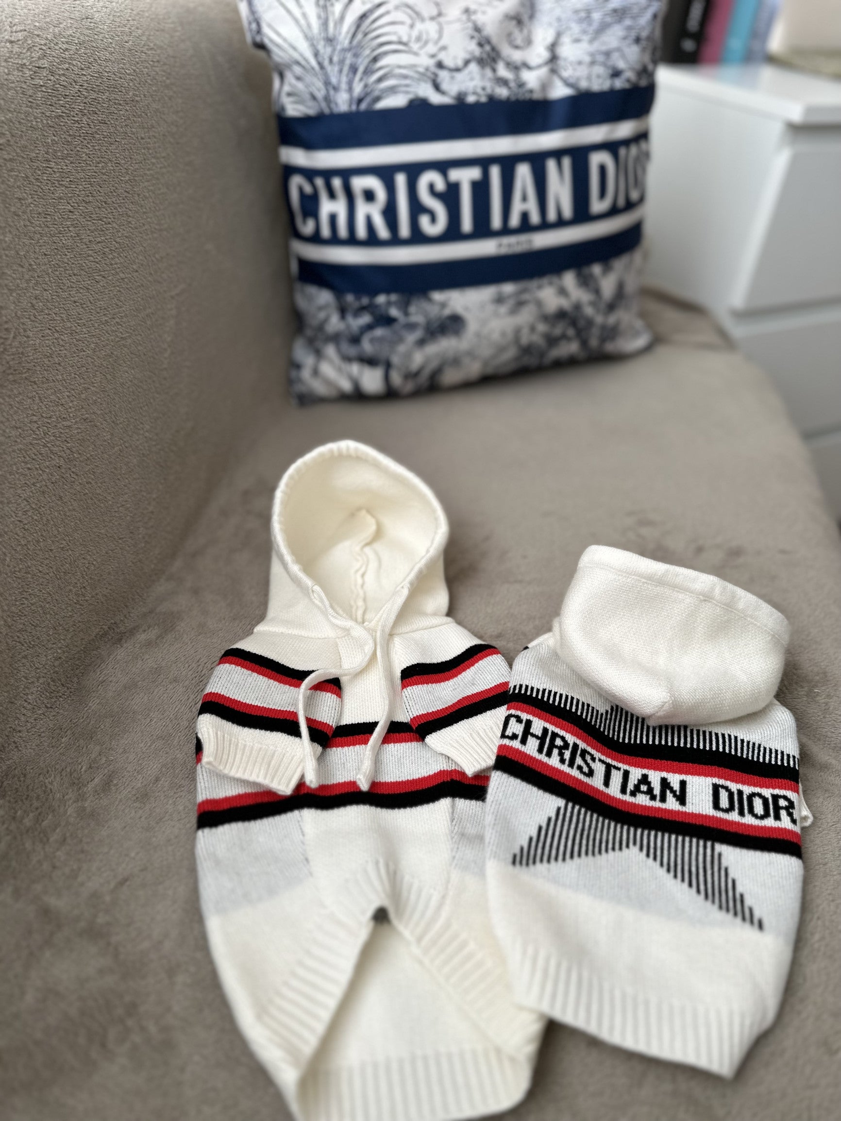 Худі білого кольору з принтом Dior