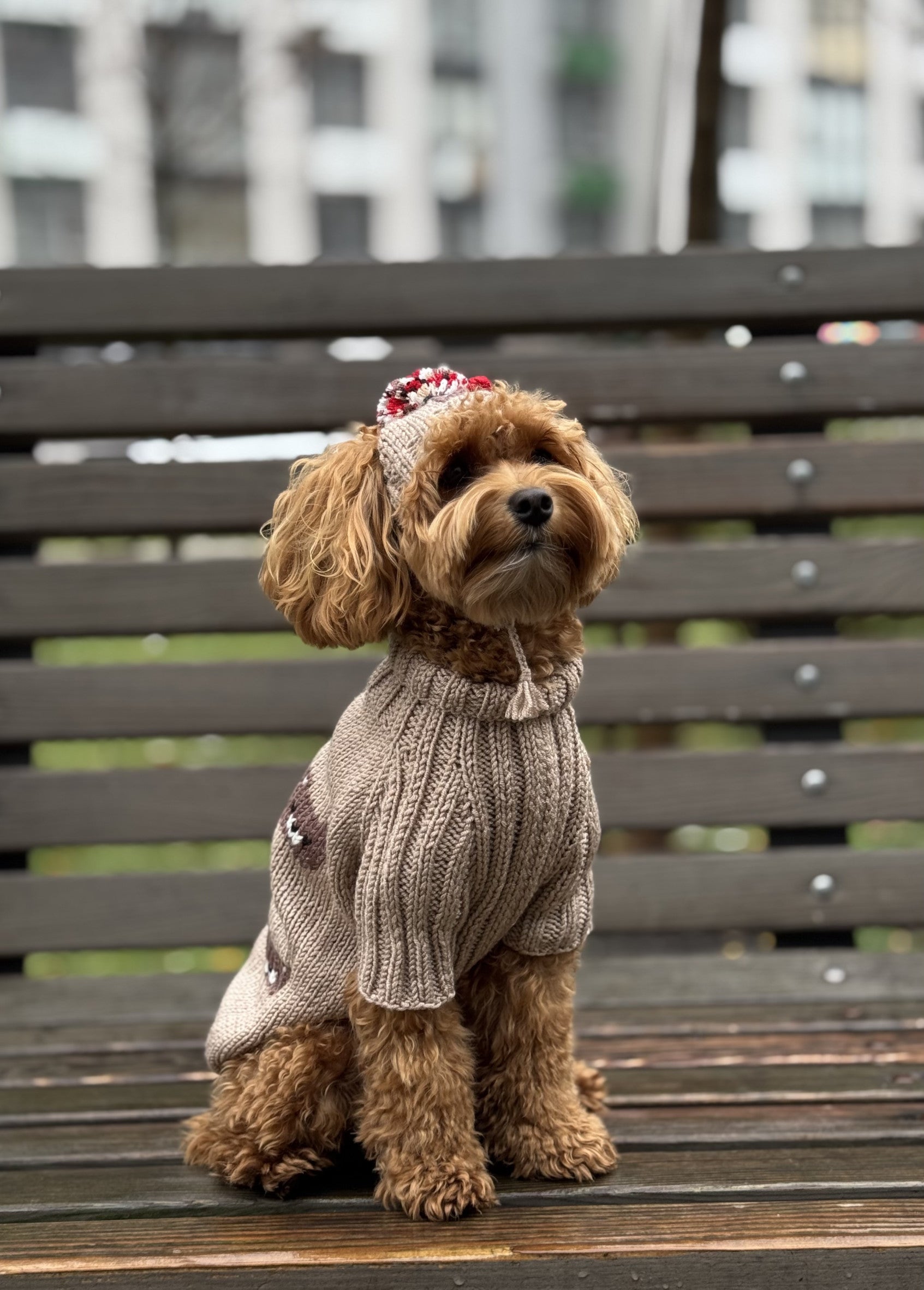 Светр бежевого кольору з принтом Sweet bear